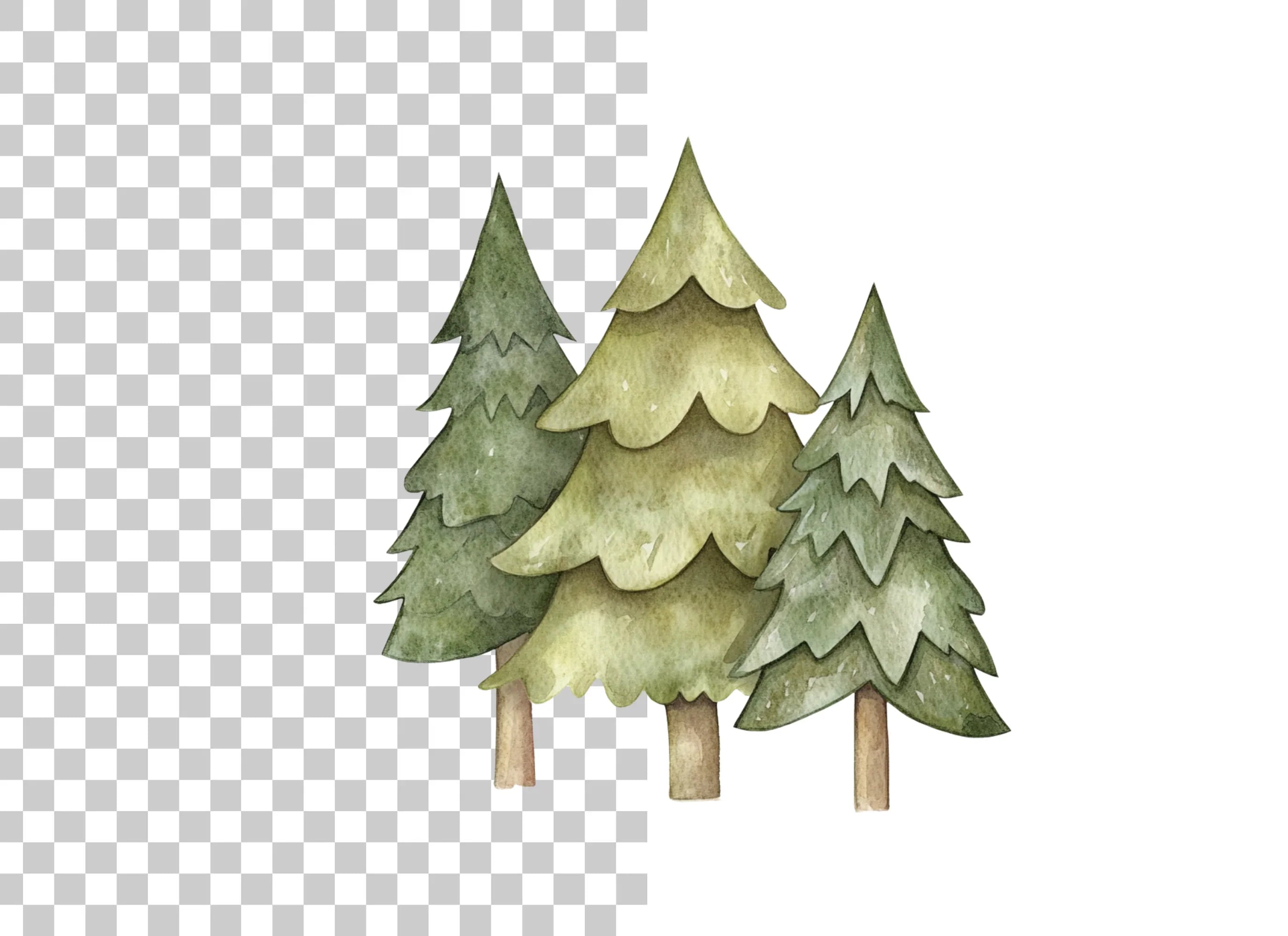 Pine Trees Clipart Bundle