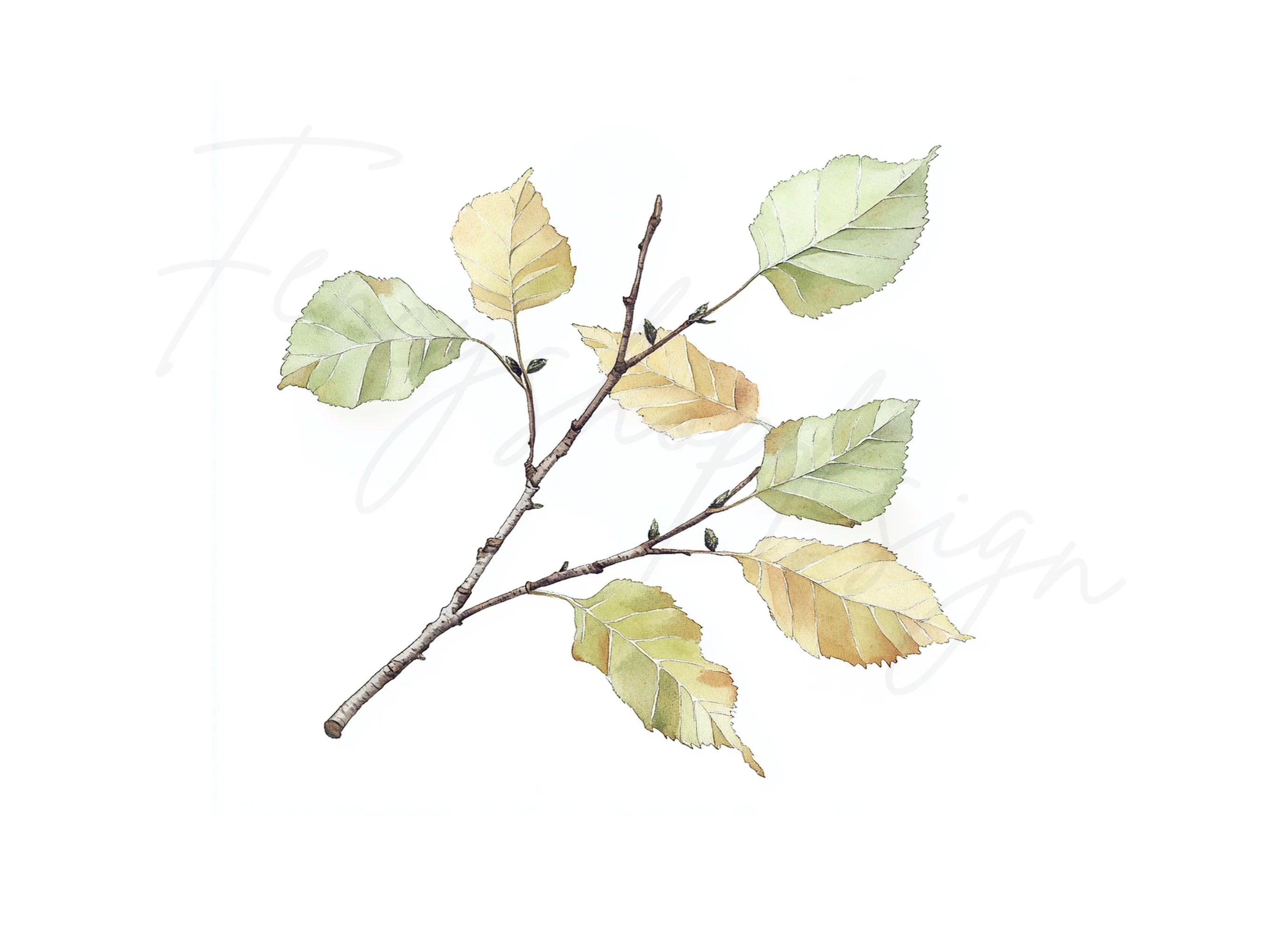 Autumn Leaves Clipart Bundle
