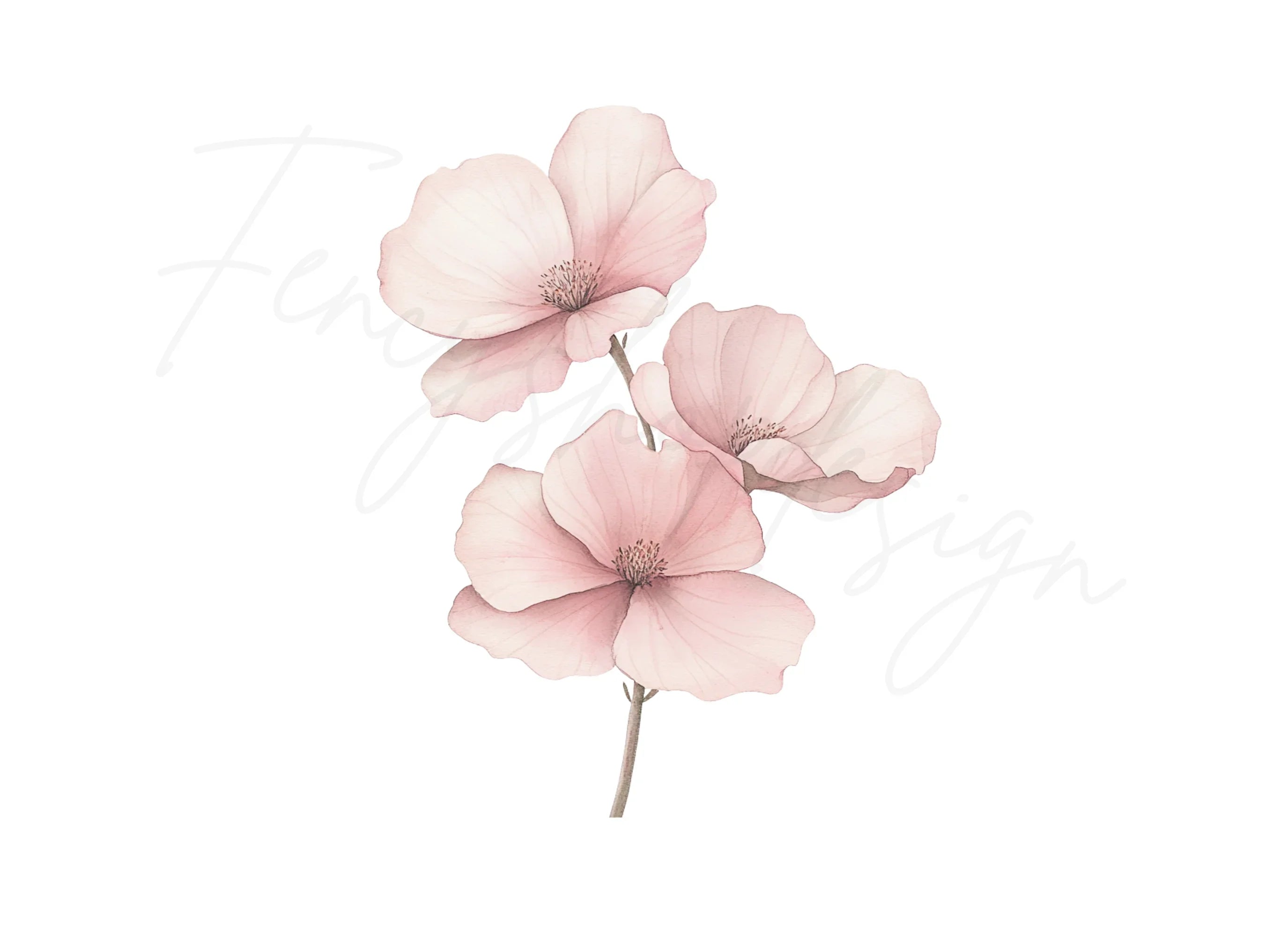 Pink Floral Clipart Bundle