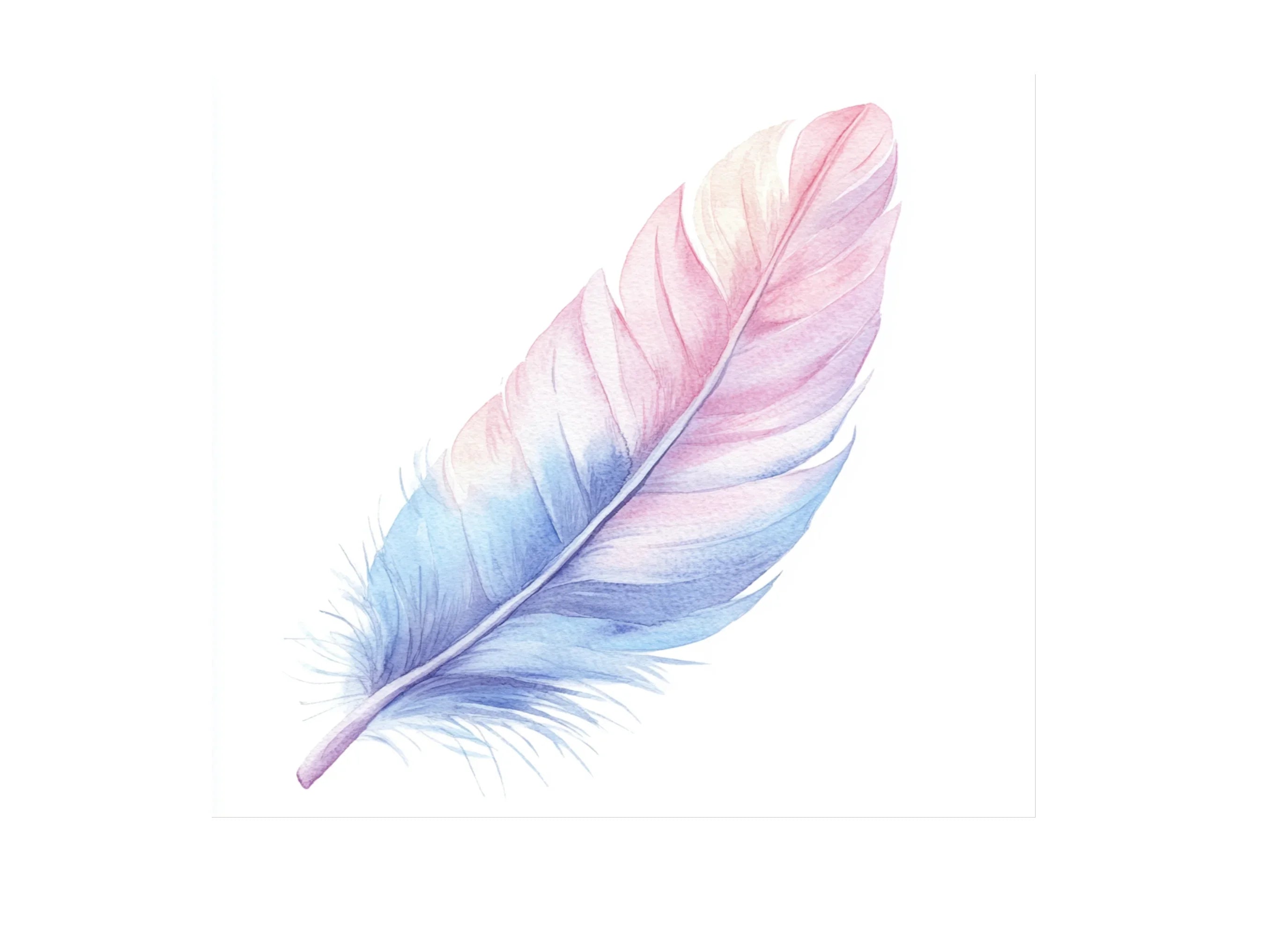 Pastel Feather Clipart Bundle