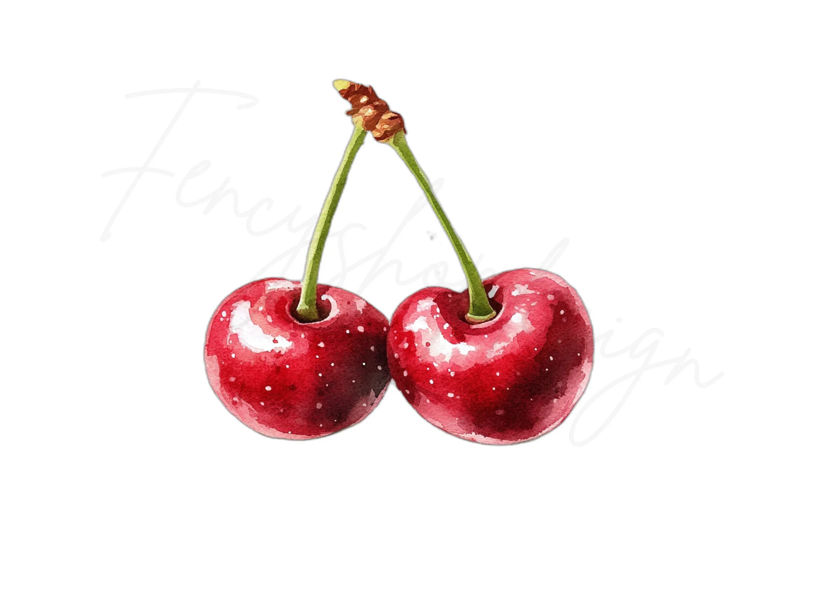 Sweet Red Cherry Illustration Clipart Bundle