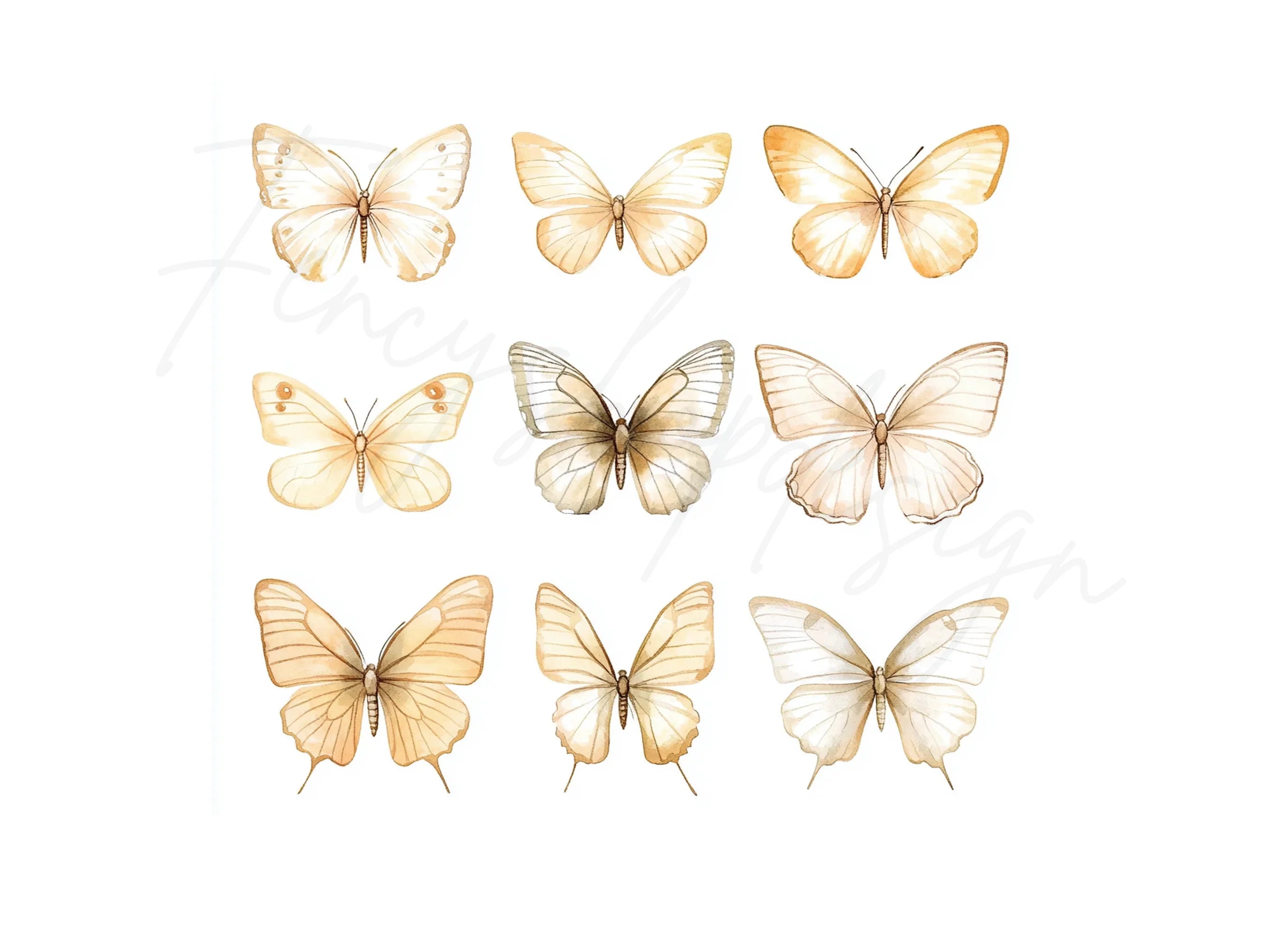 Elegant Butterfly Clipart Bundle