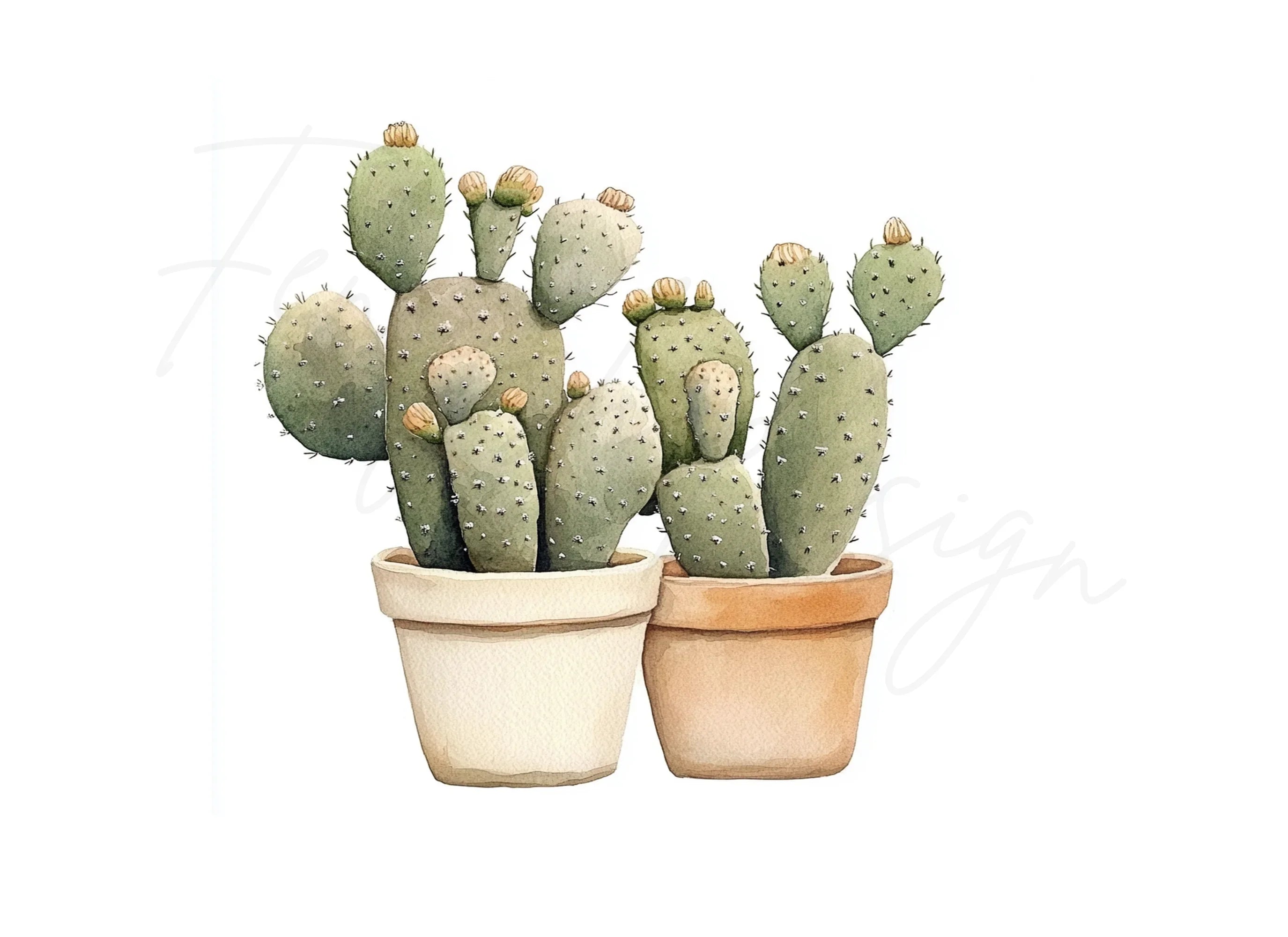 Cactus Clipart Bundle