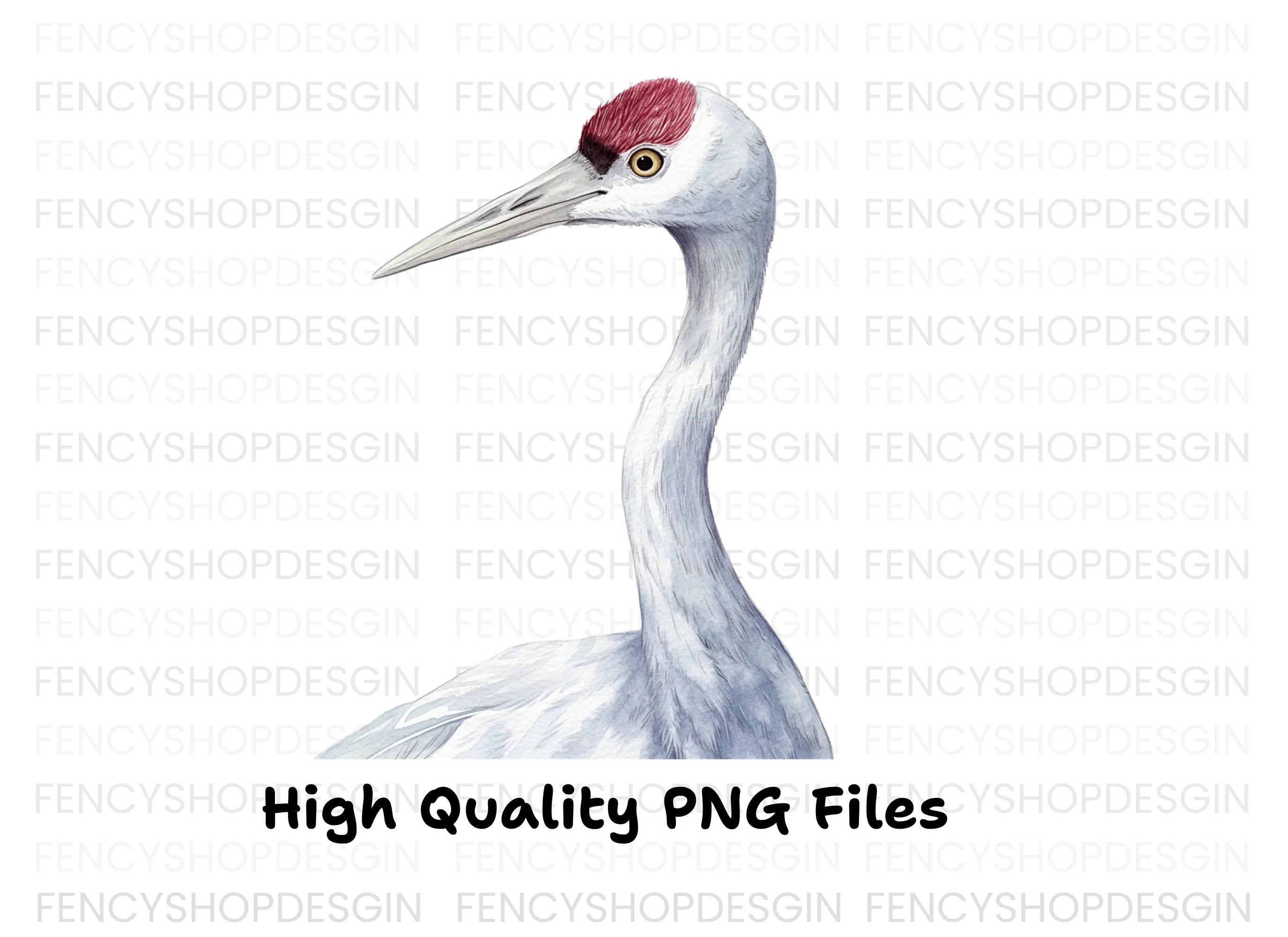 Elegant Crane Bird Head Clipart Bundle