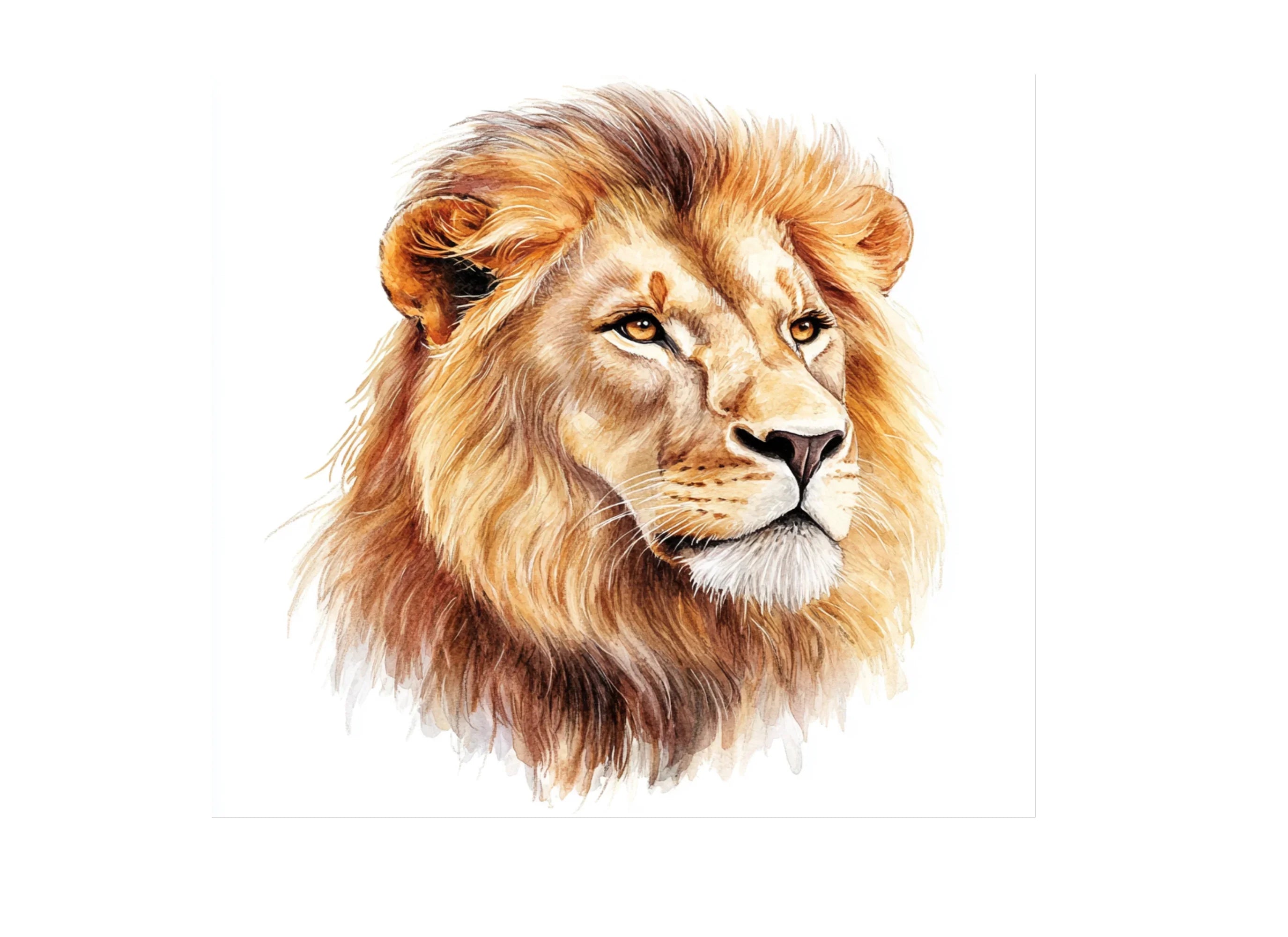 Majestic Lion Clipart Bundle