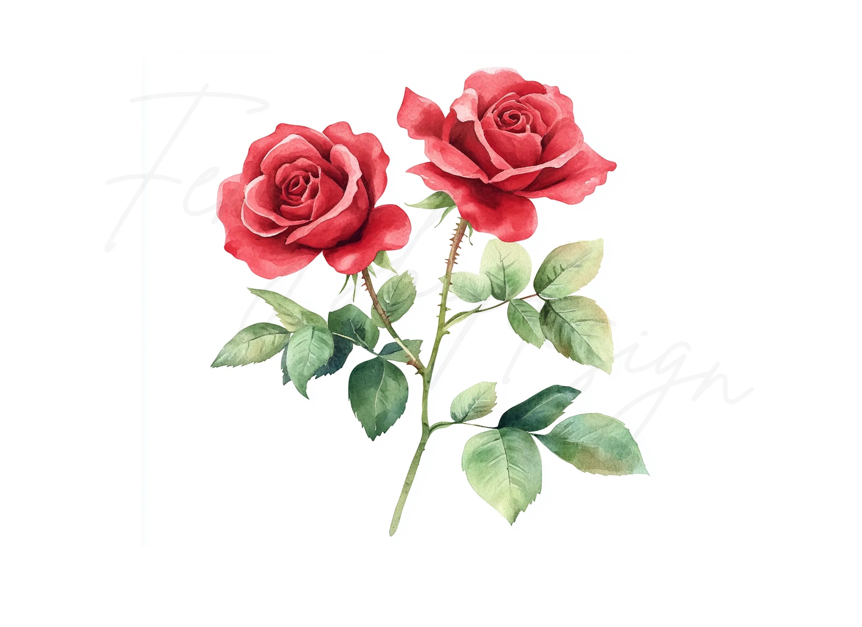 Red Roses Clipart Bundle