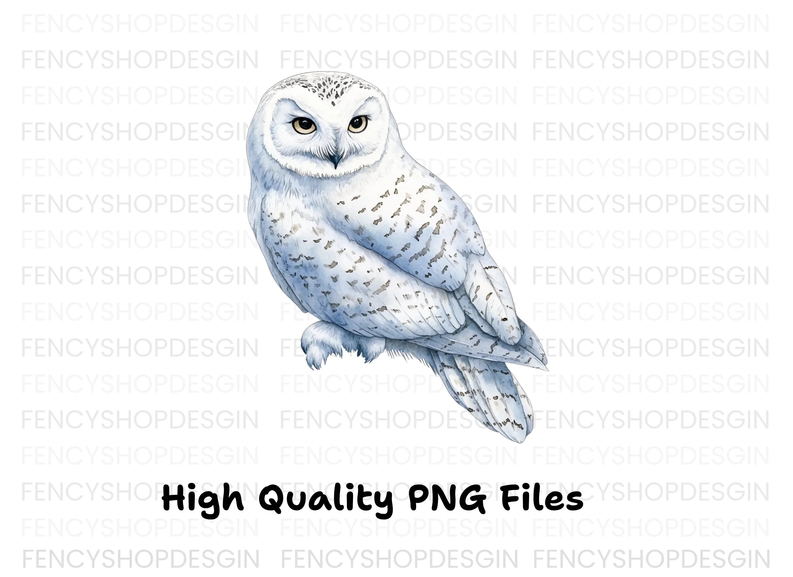 Snowy Owl Clipart Bundle