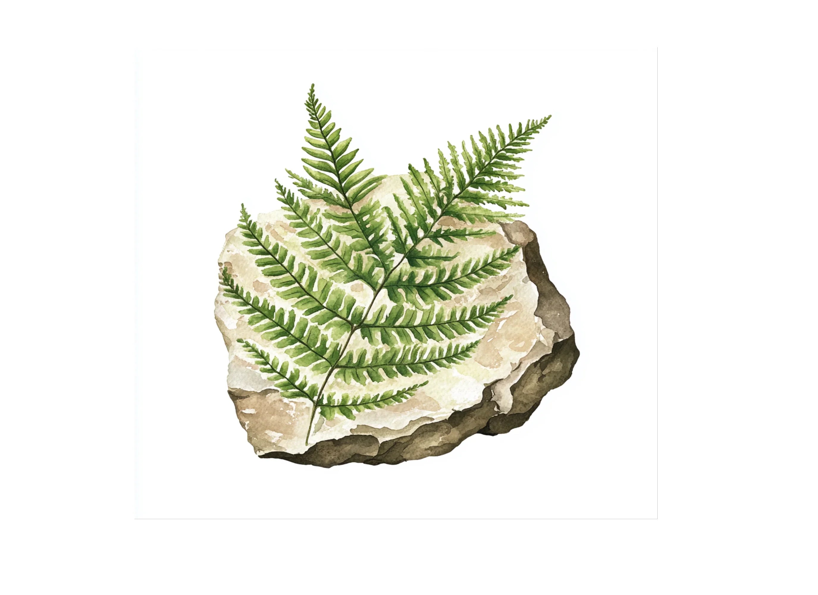 Fern Clipart Bundle