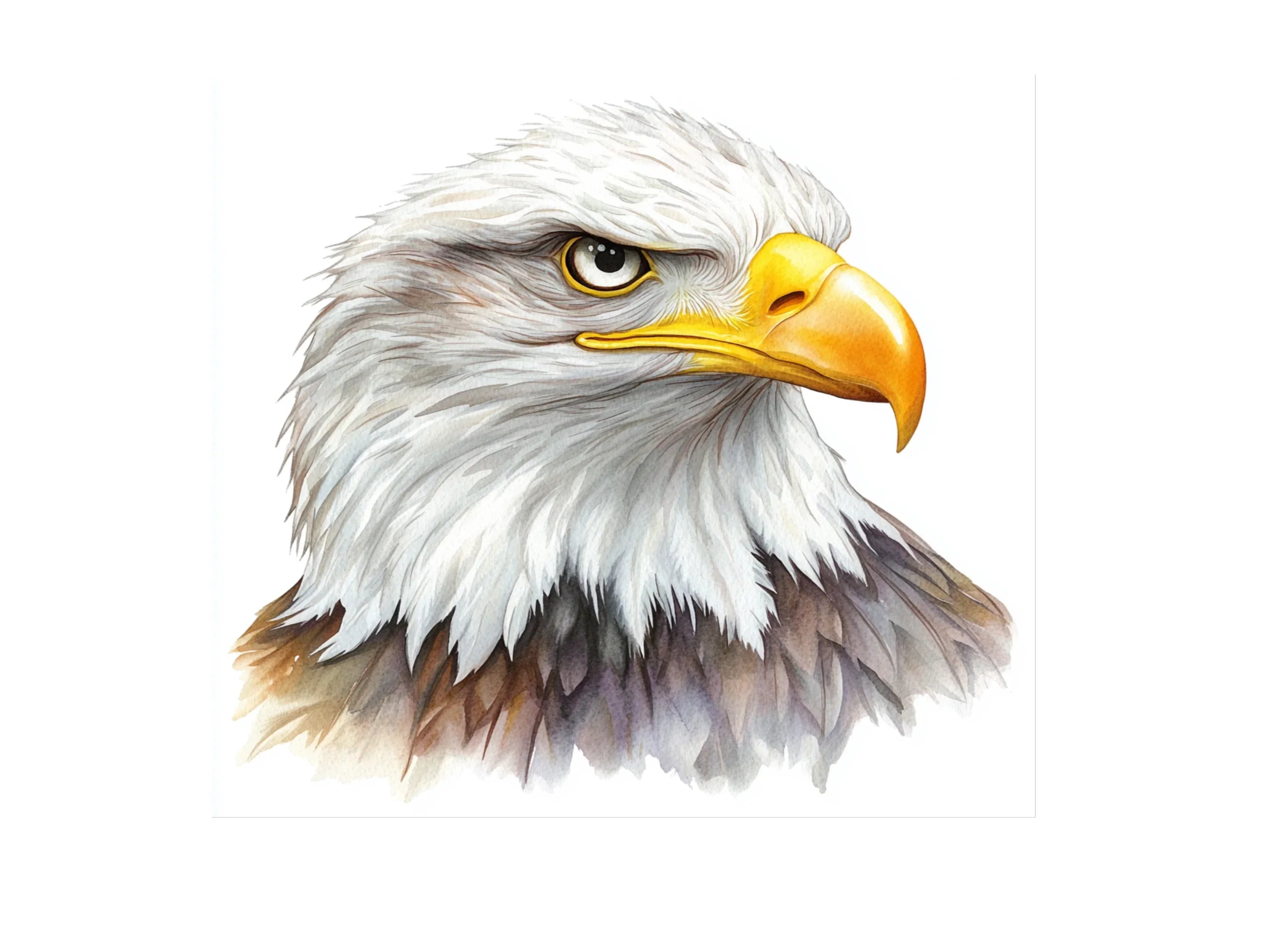 Majestic Eagle Head Clipart Bundle