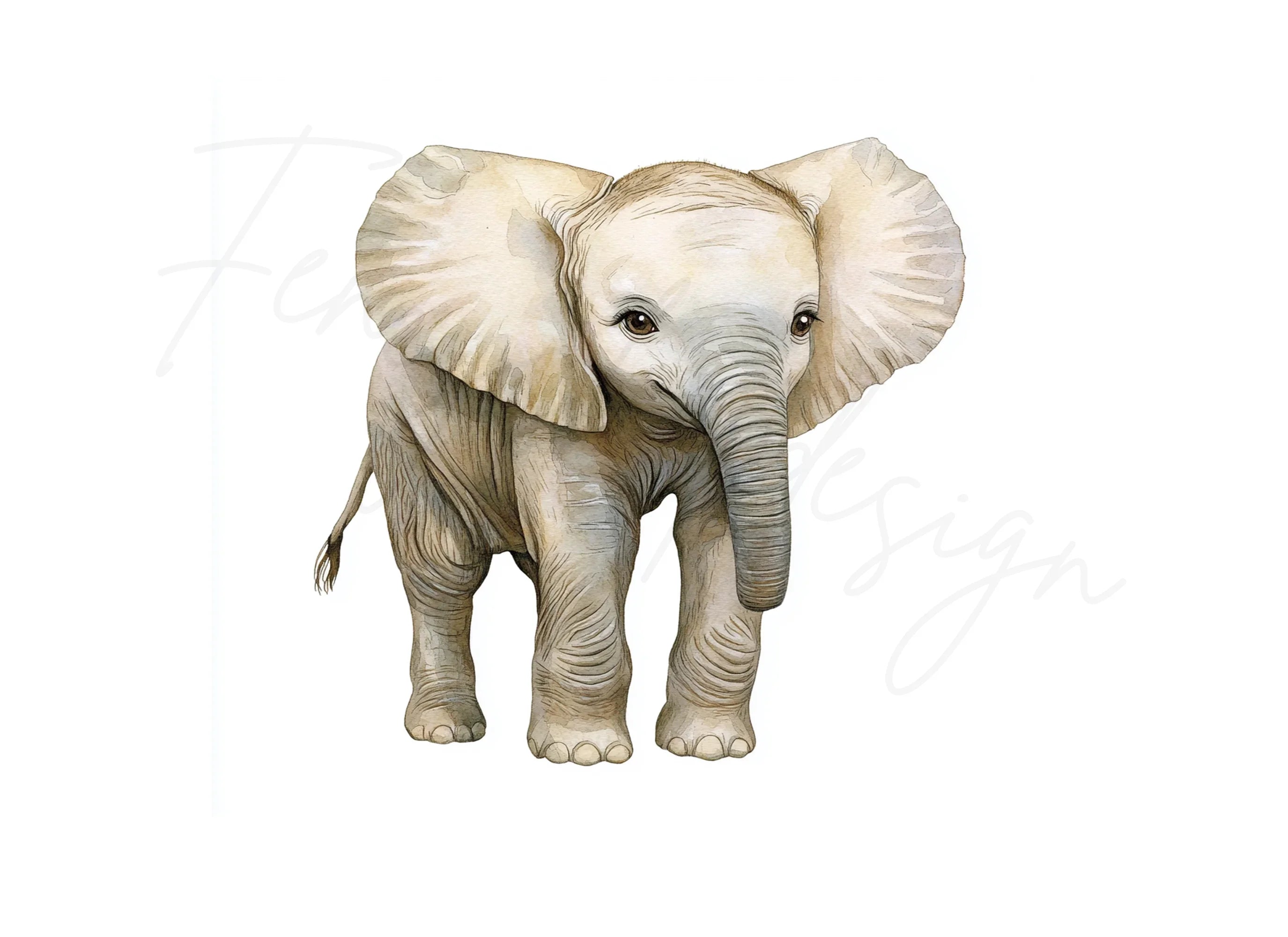 Baby Elephant Clipart Bundle