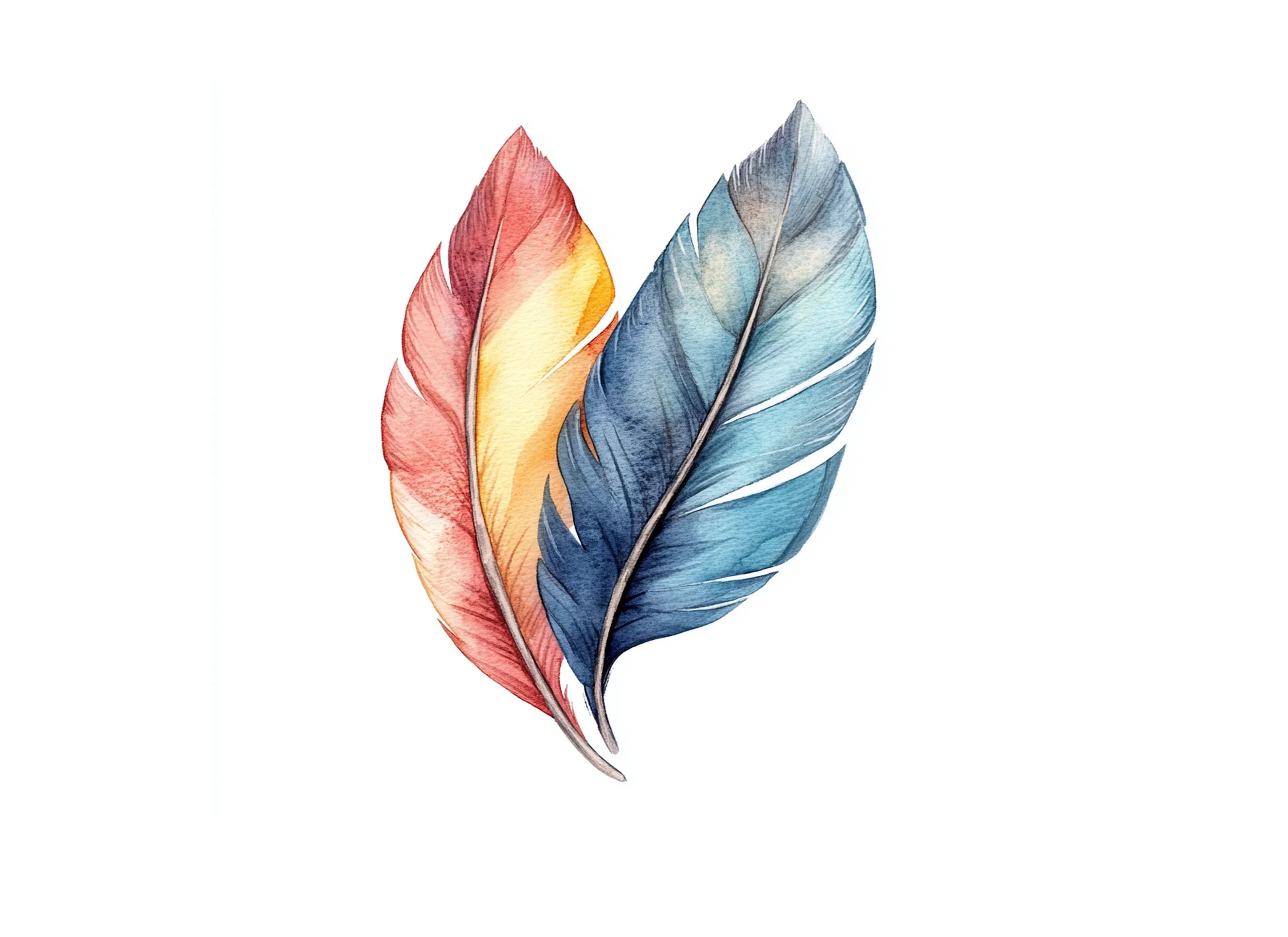 Colorful Feather Clipart Bundle