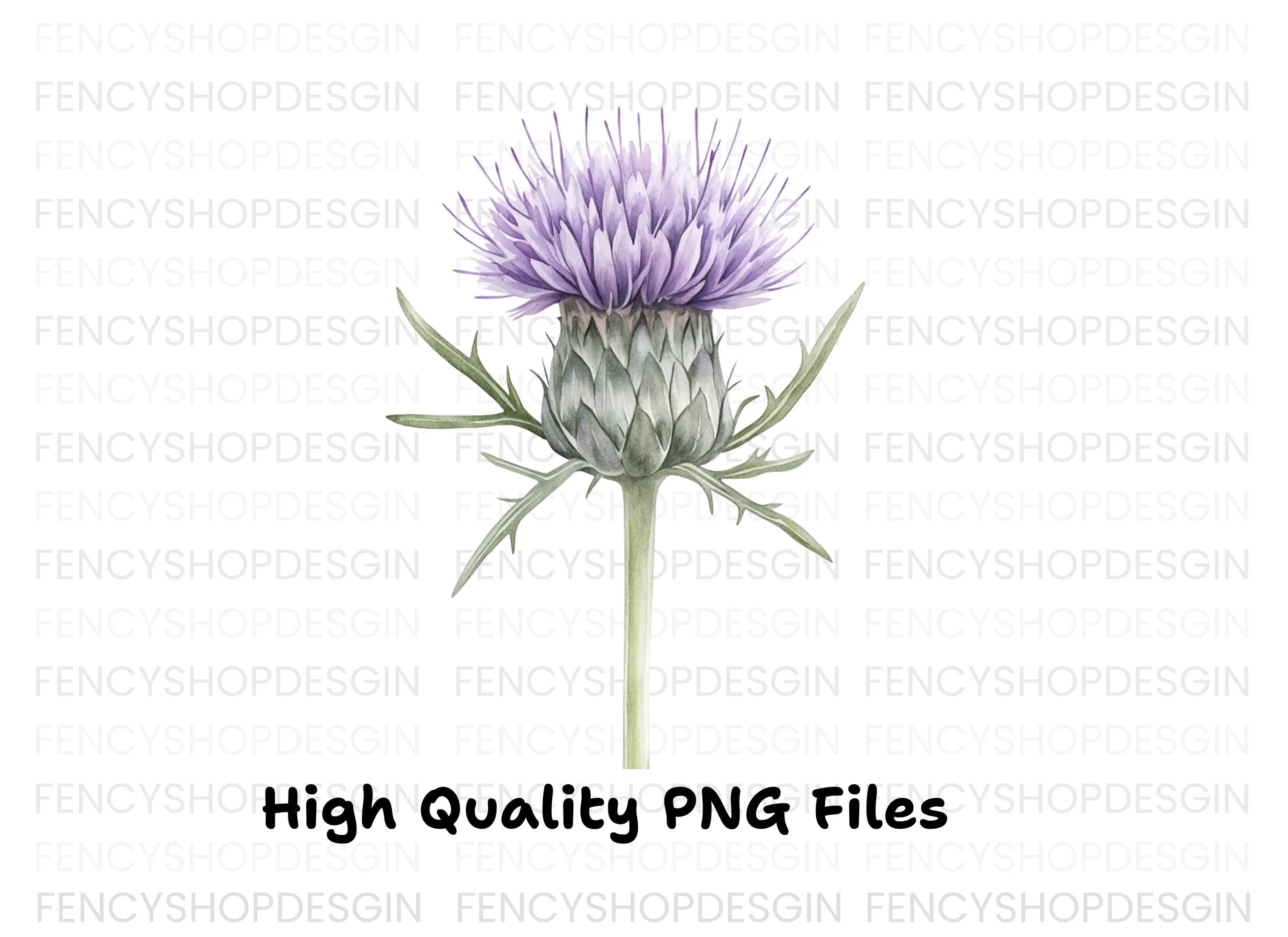 Elegant Thistle Bloom Clipart Bundle