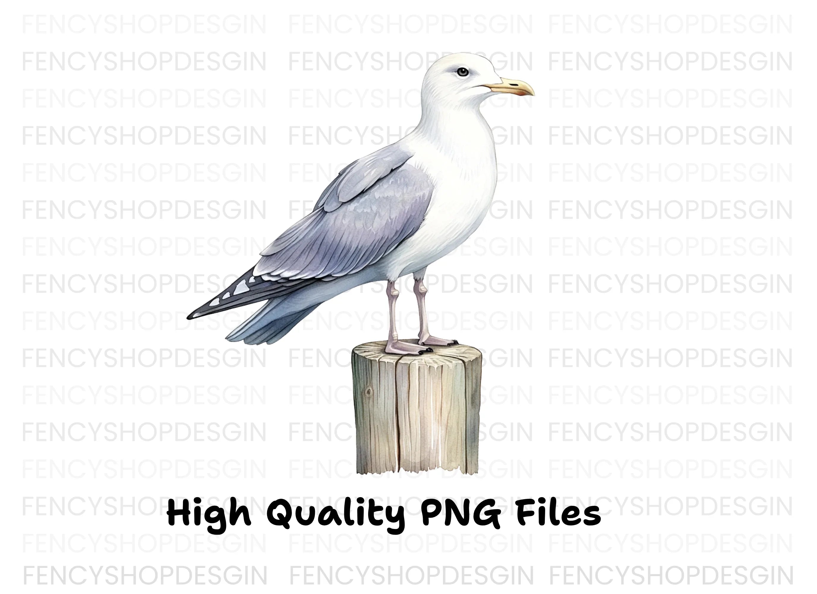 Seagull Clipart Bundle