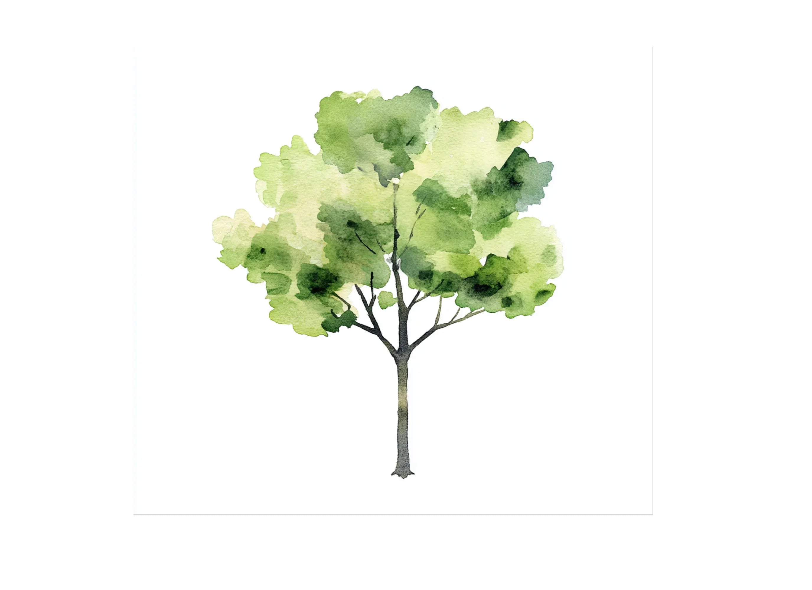 Trees Clipart Bundle