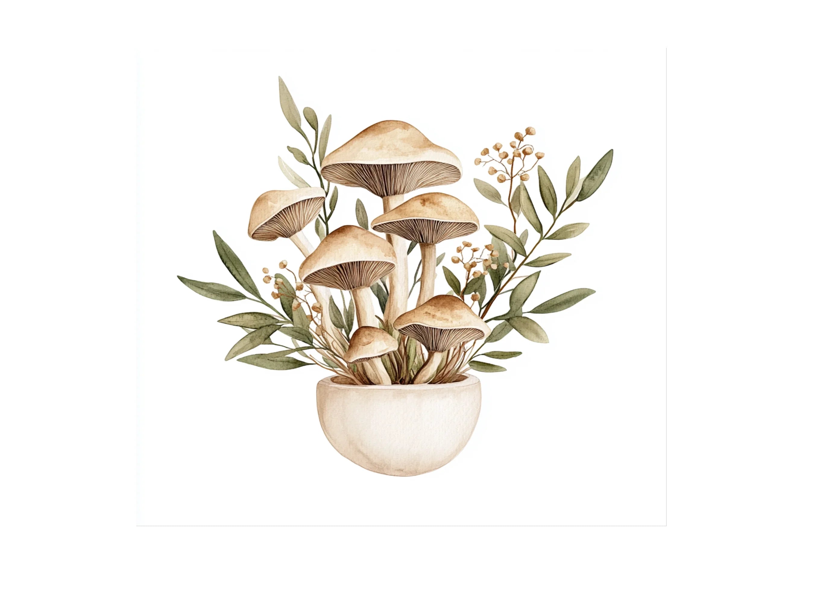 Mushroom Clipart Bundle