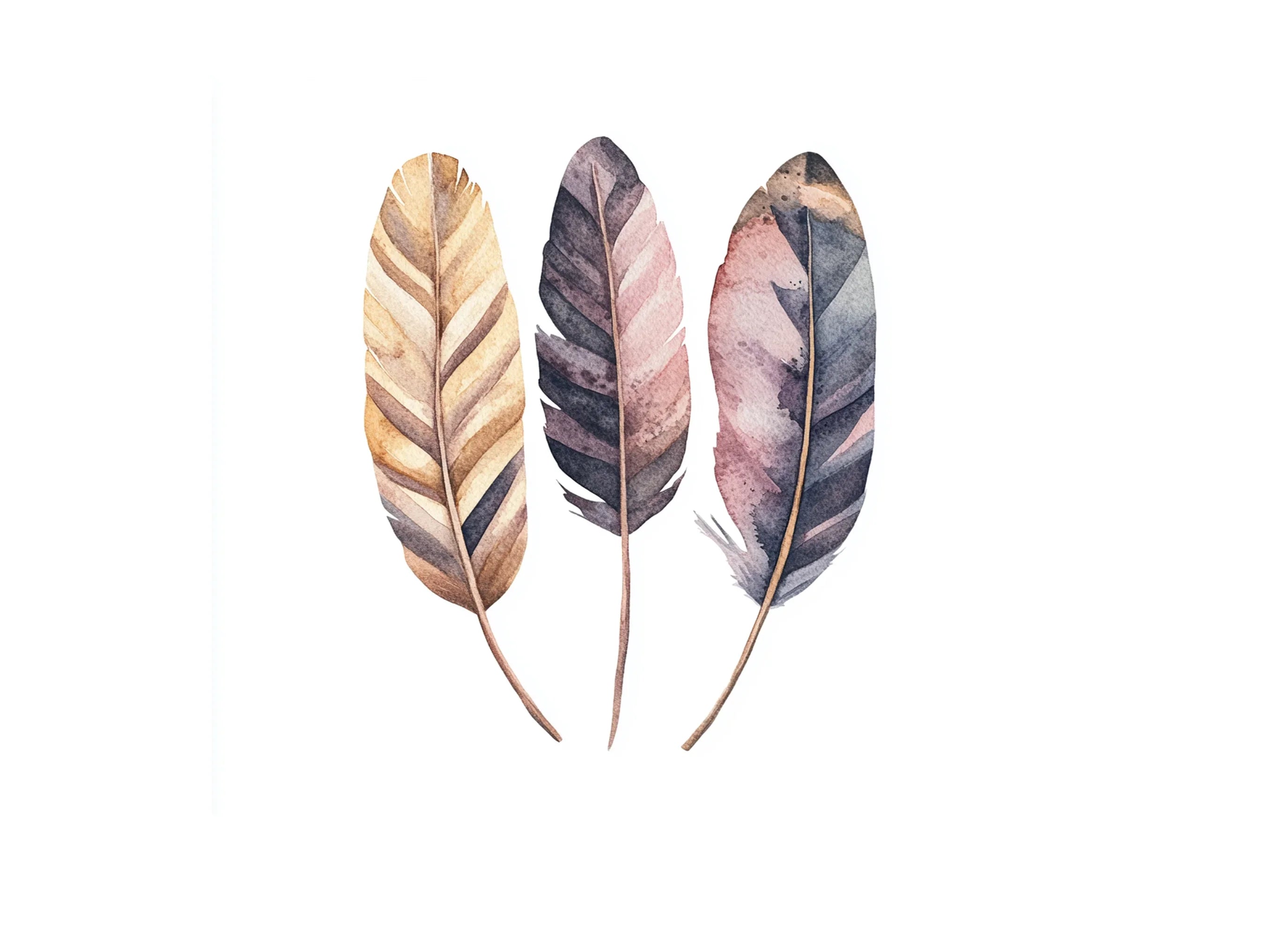 Natural Feather Clipart Bundle