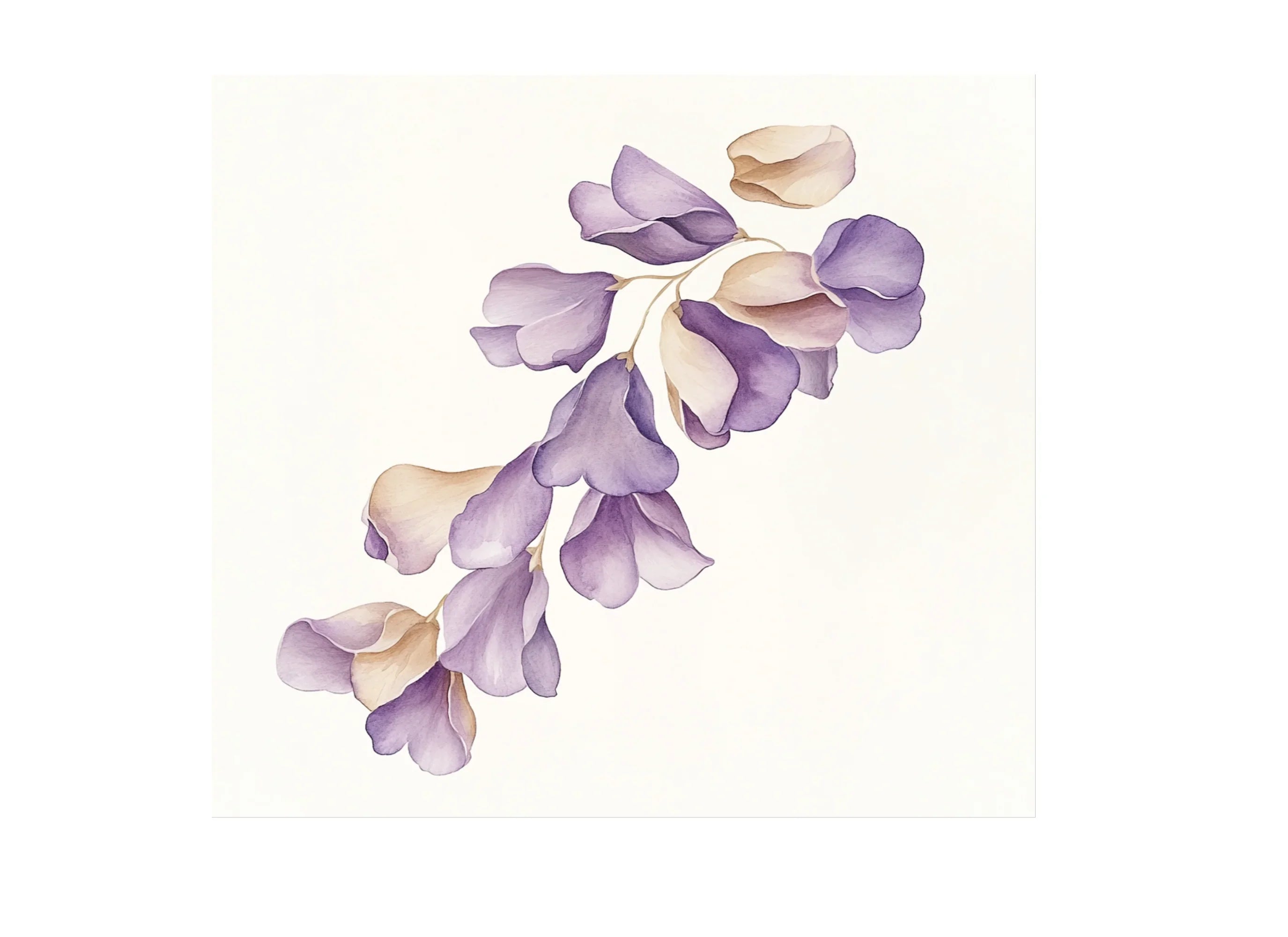 Purple Petals Clipart Bundle