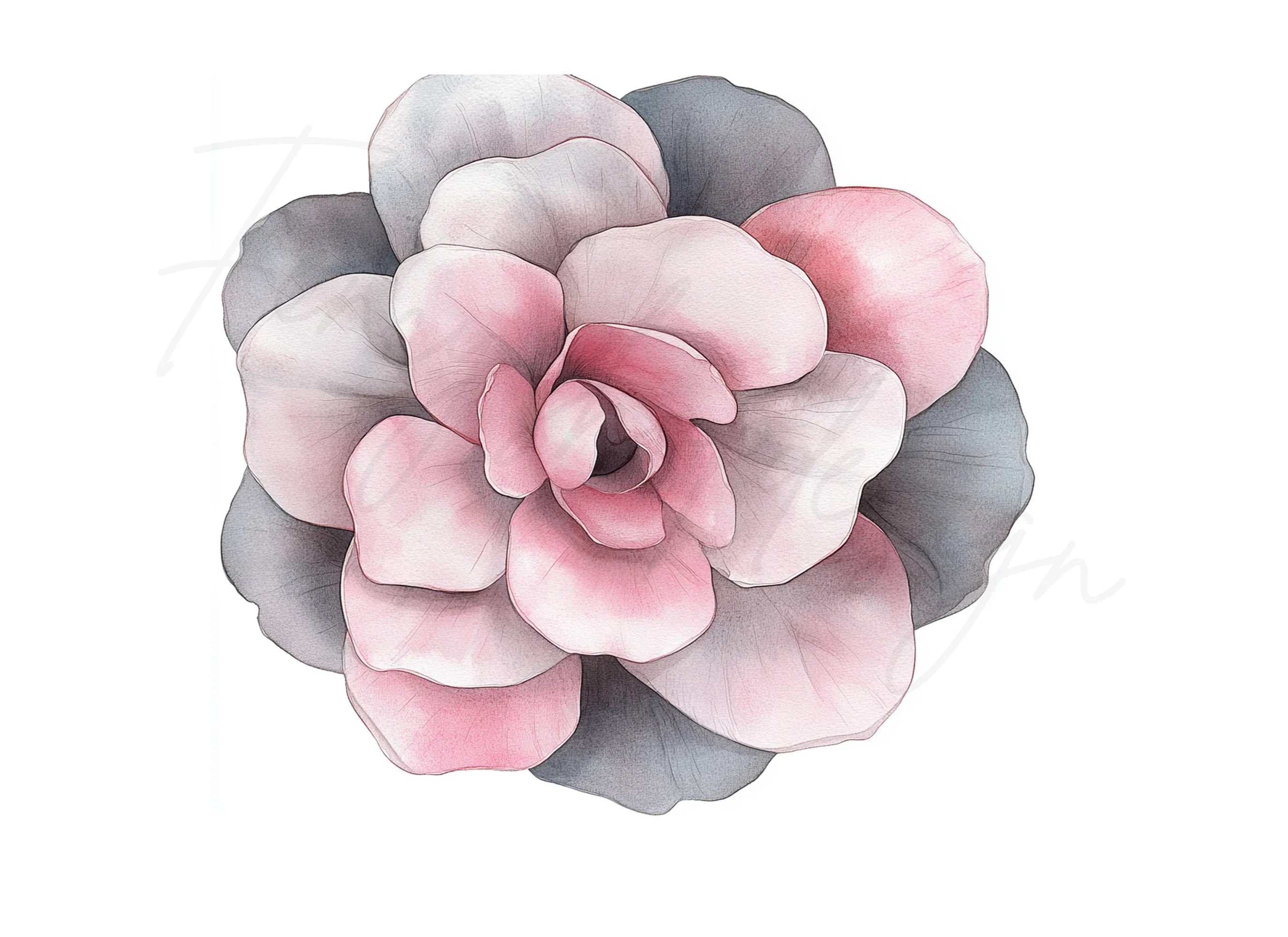 Pink and Grey Flowers Clipart Bundle