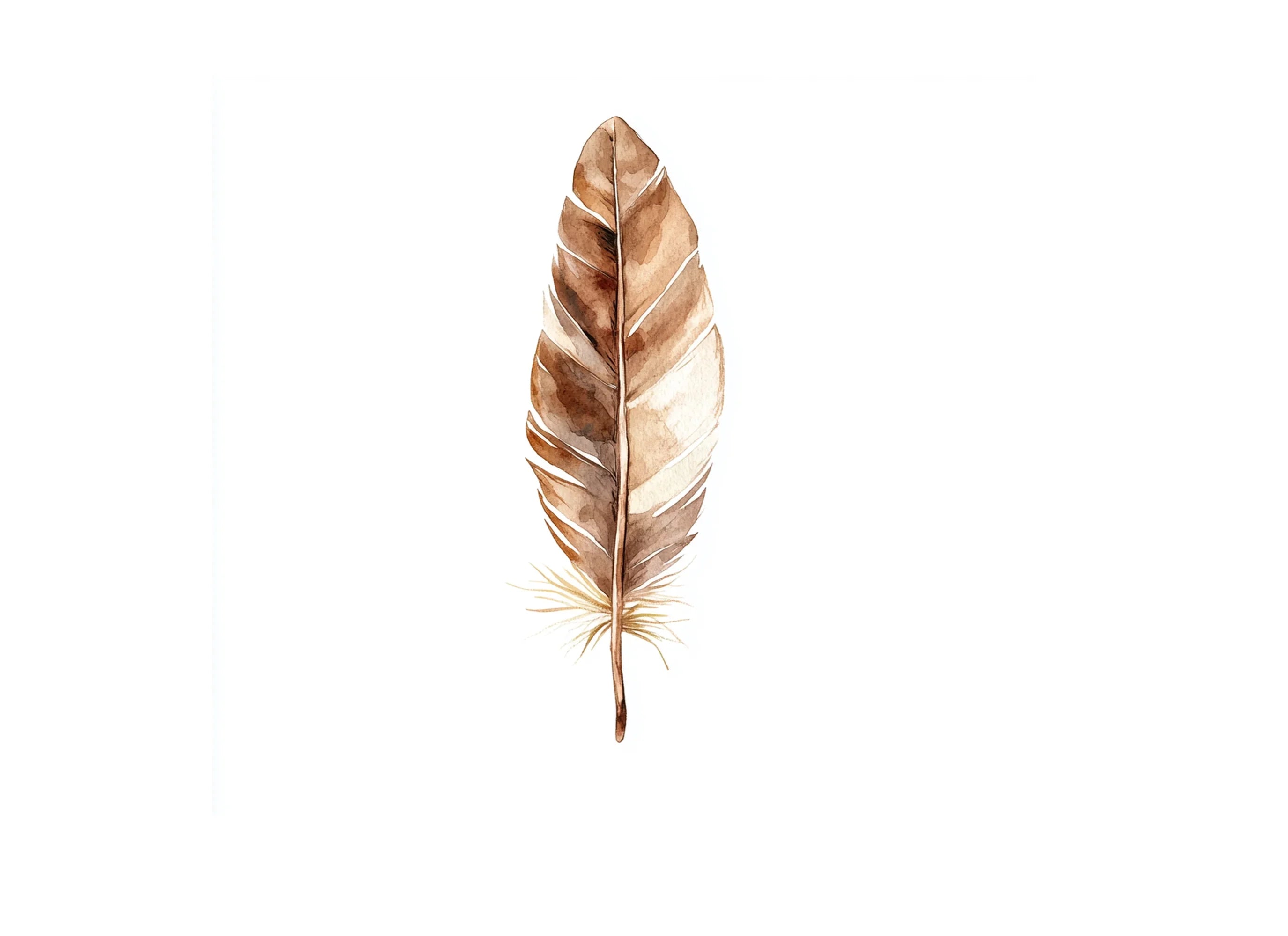 Boho Feather Clipart Bundle