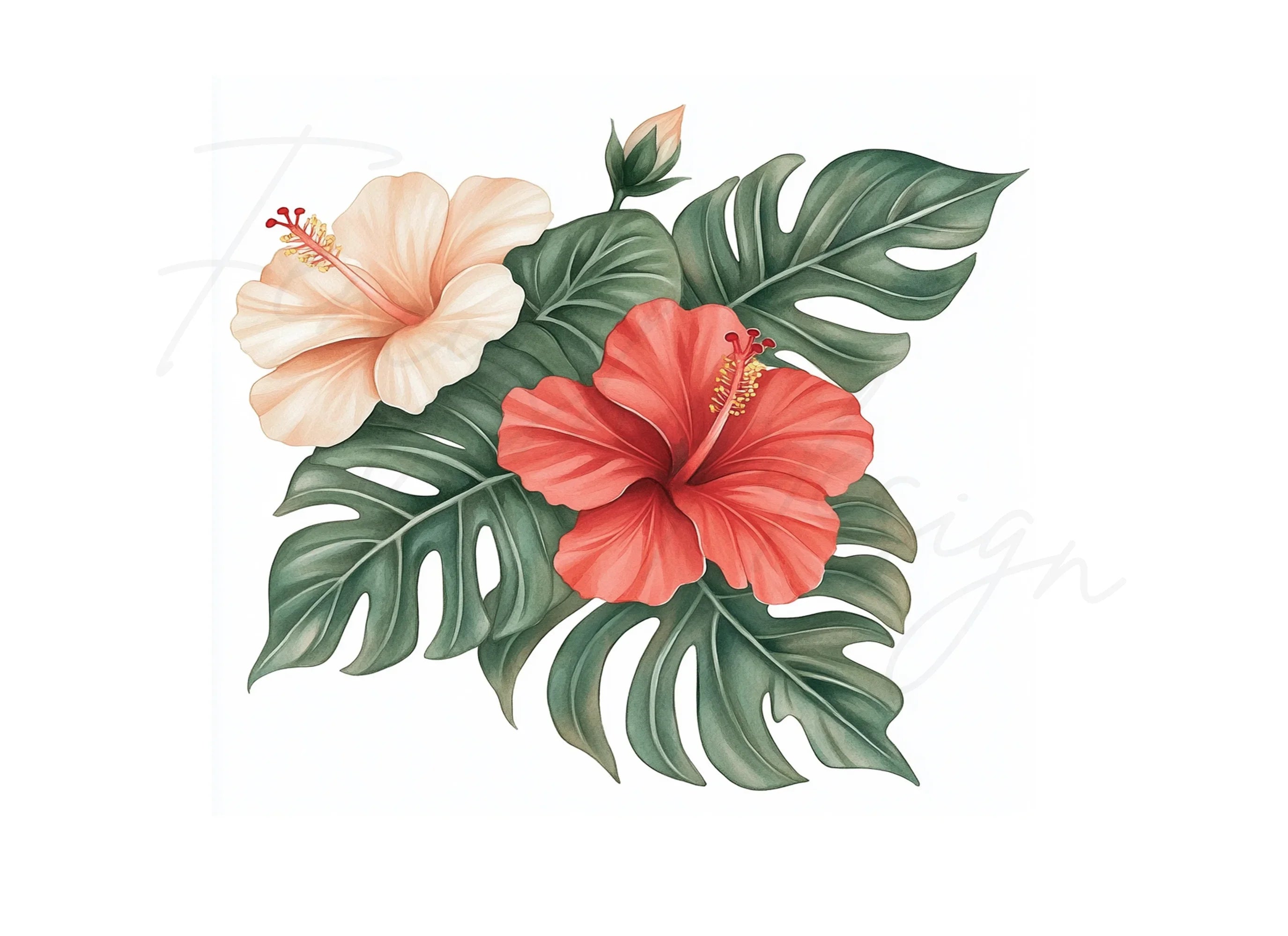 Vibrant Hibiscus Monstera Leaf Clipart Bundle