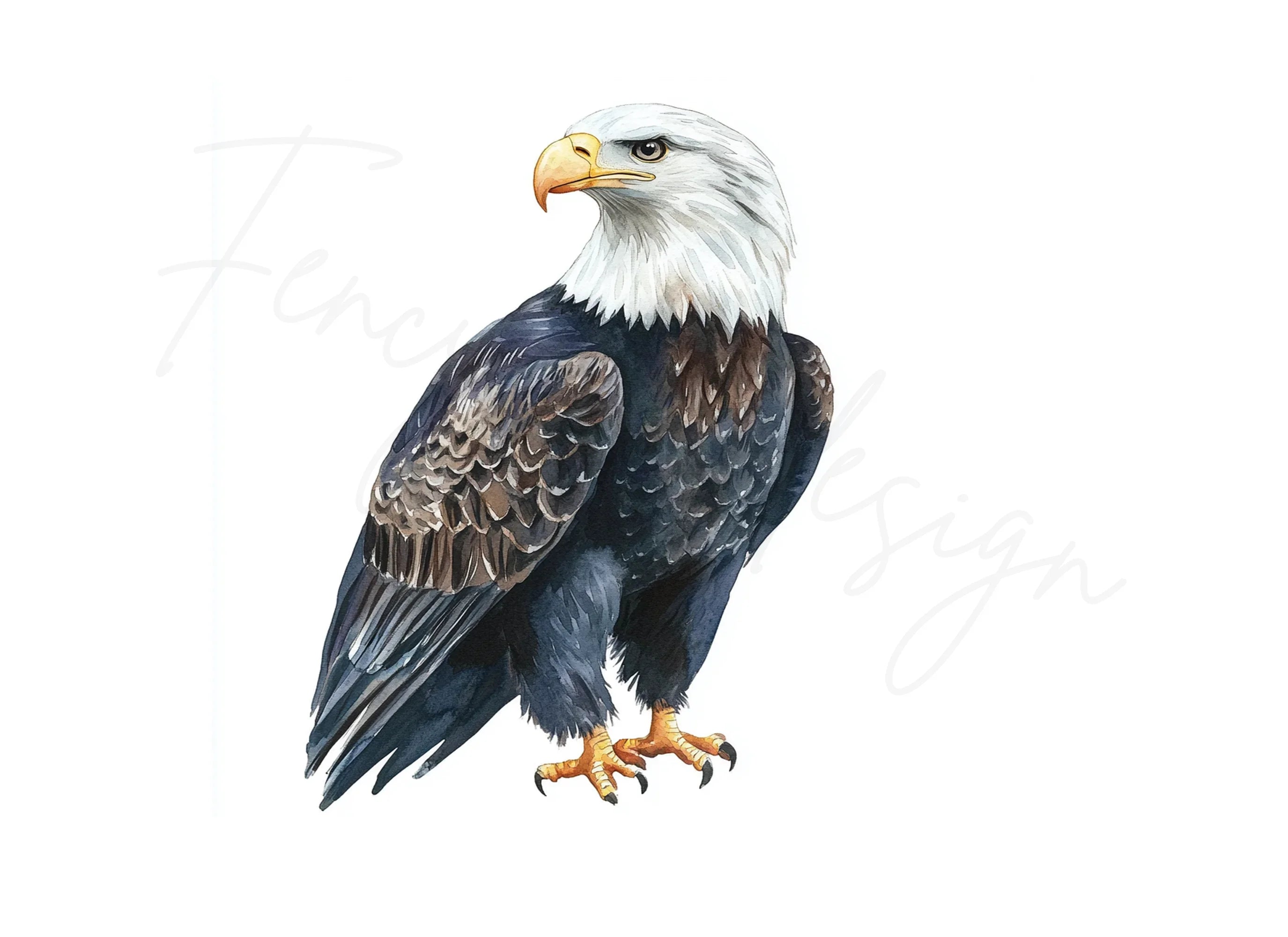 Majestic Bald Eagle Clipart Bundle