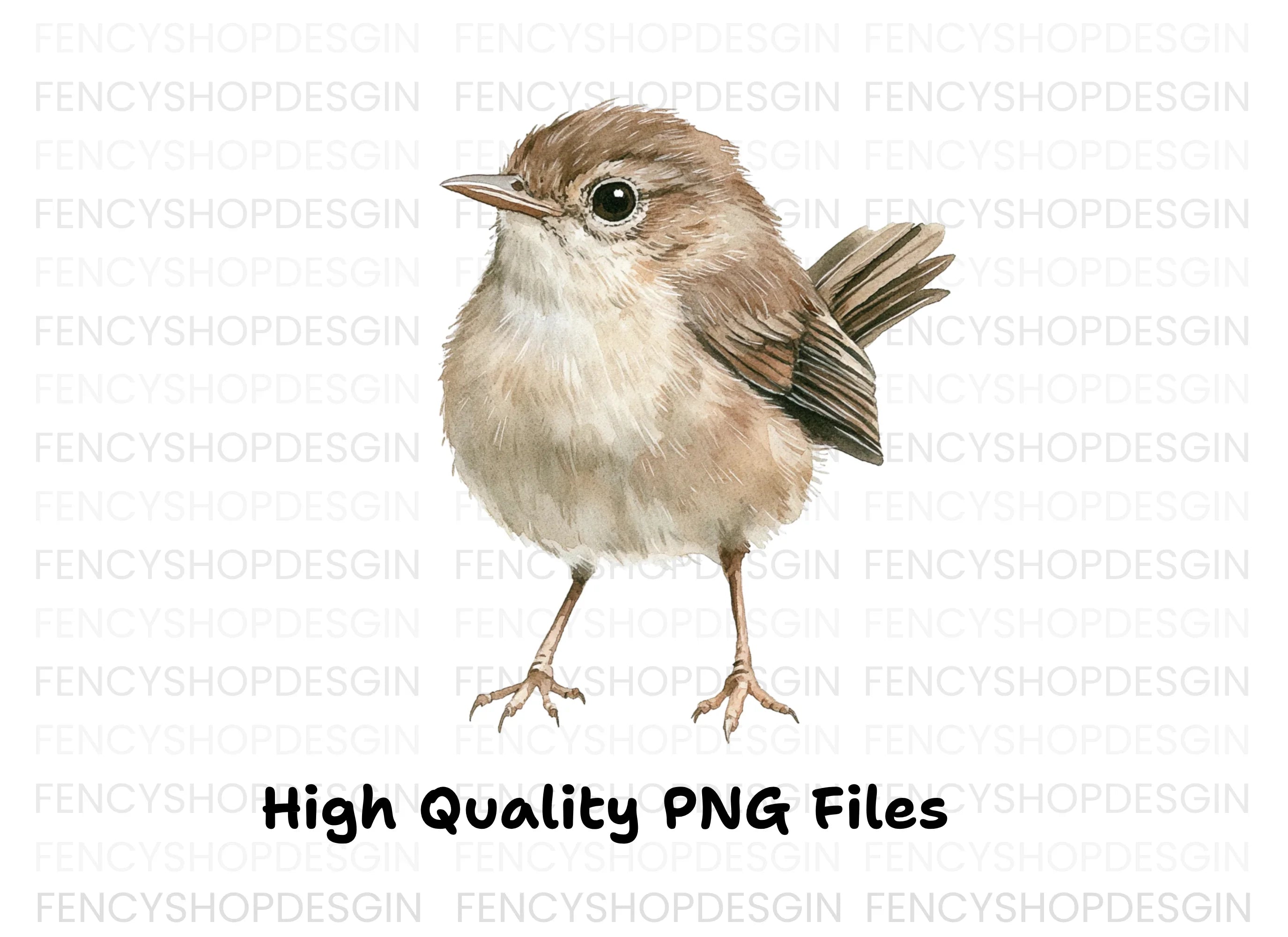 Cute Little Brown Birds Clipart Bundle