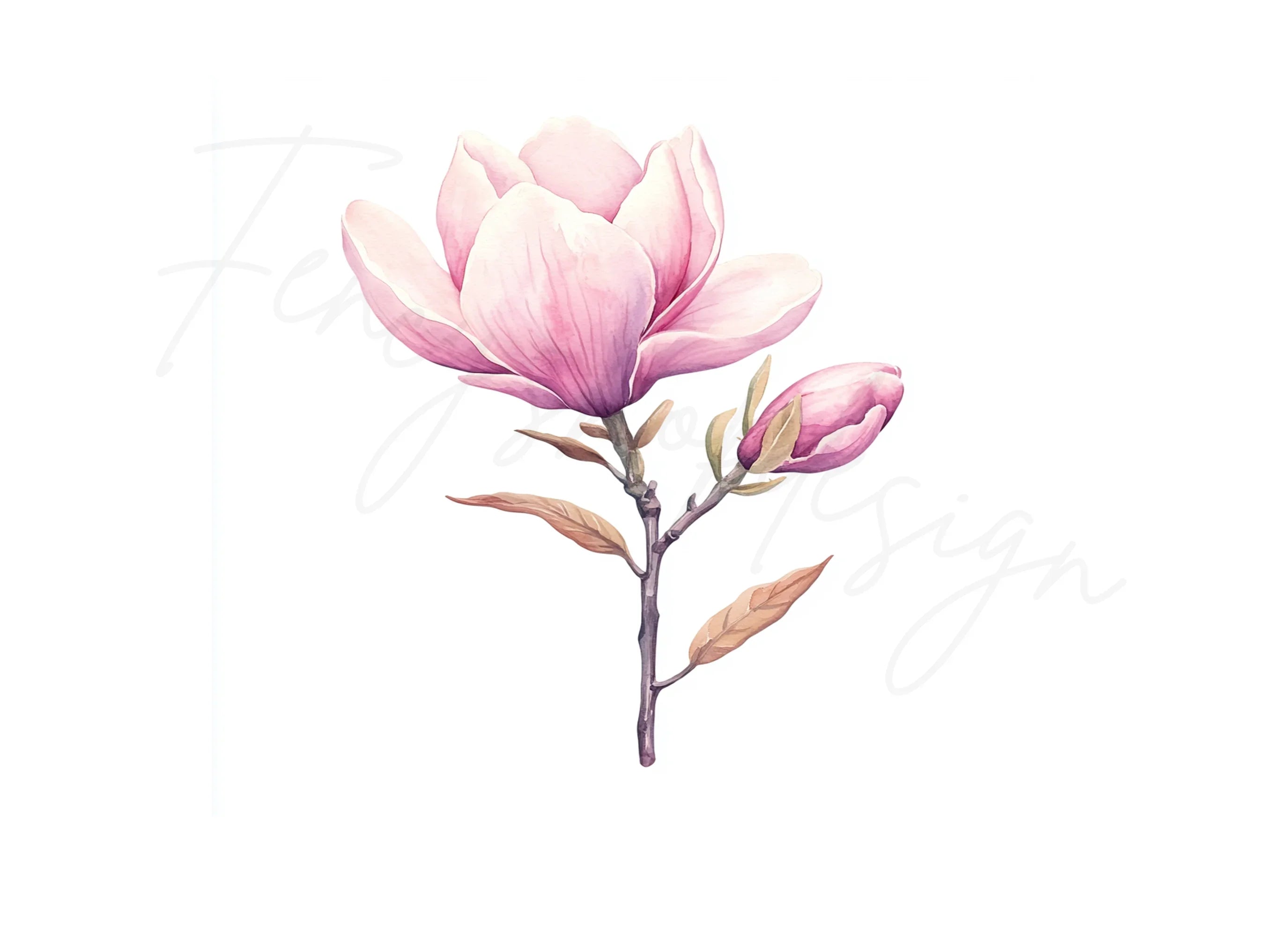 Pink Magnolia Flower Clipart Bundle