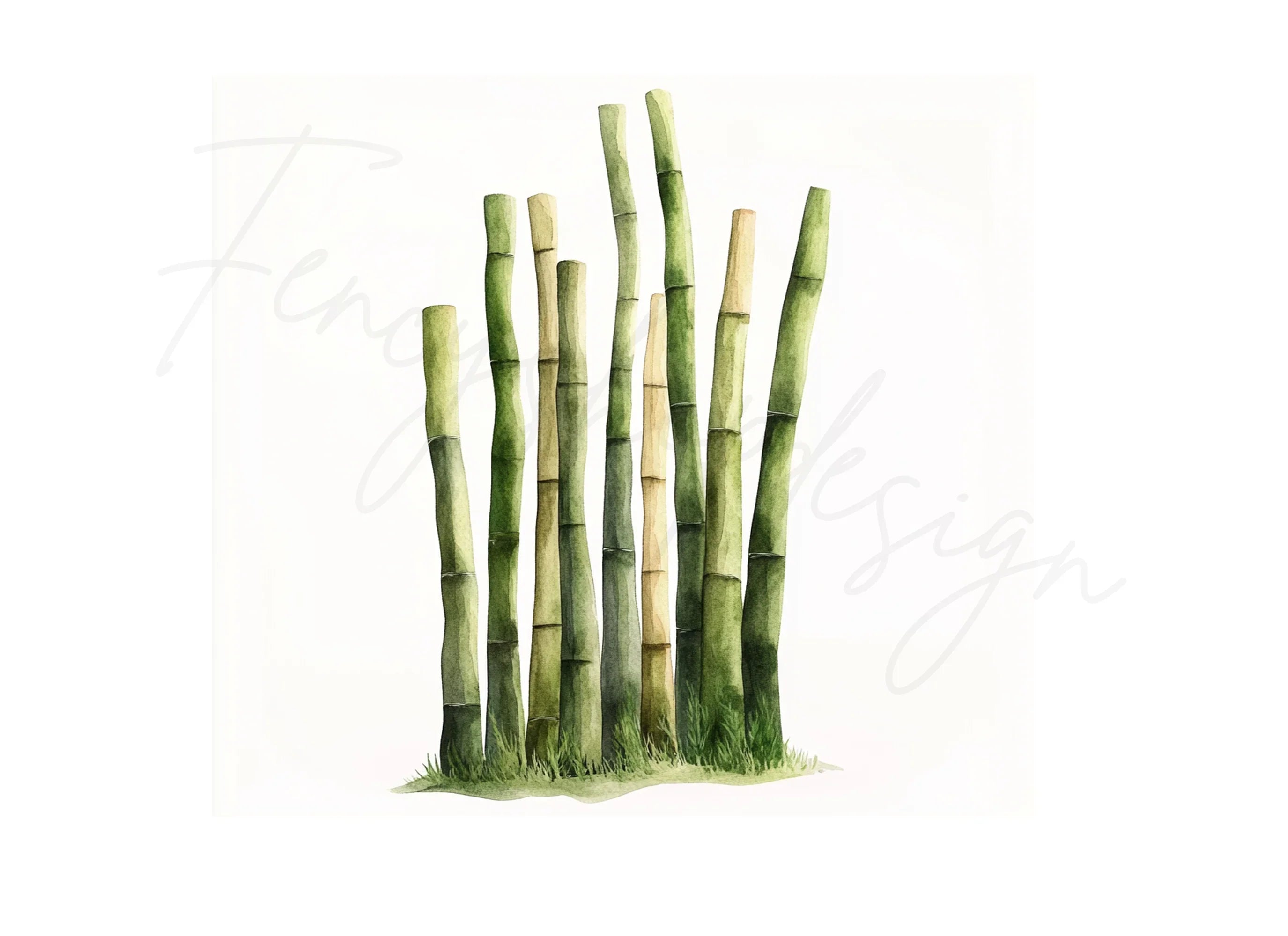 Lush Bamboo Forest Clipart Bundle