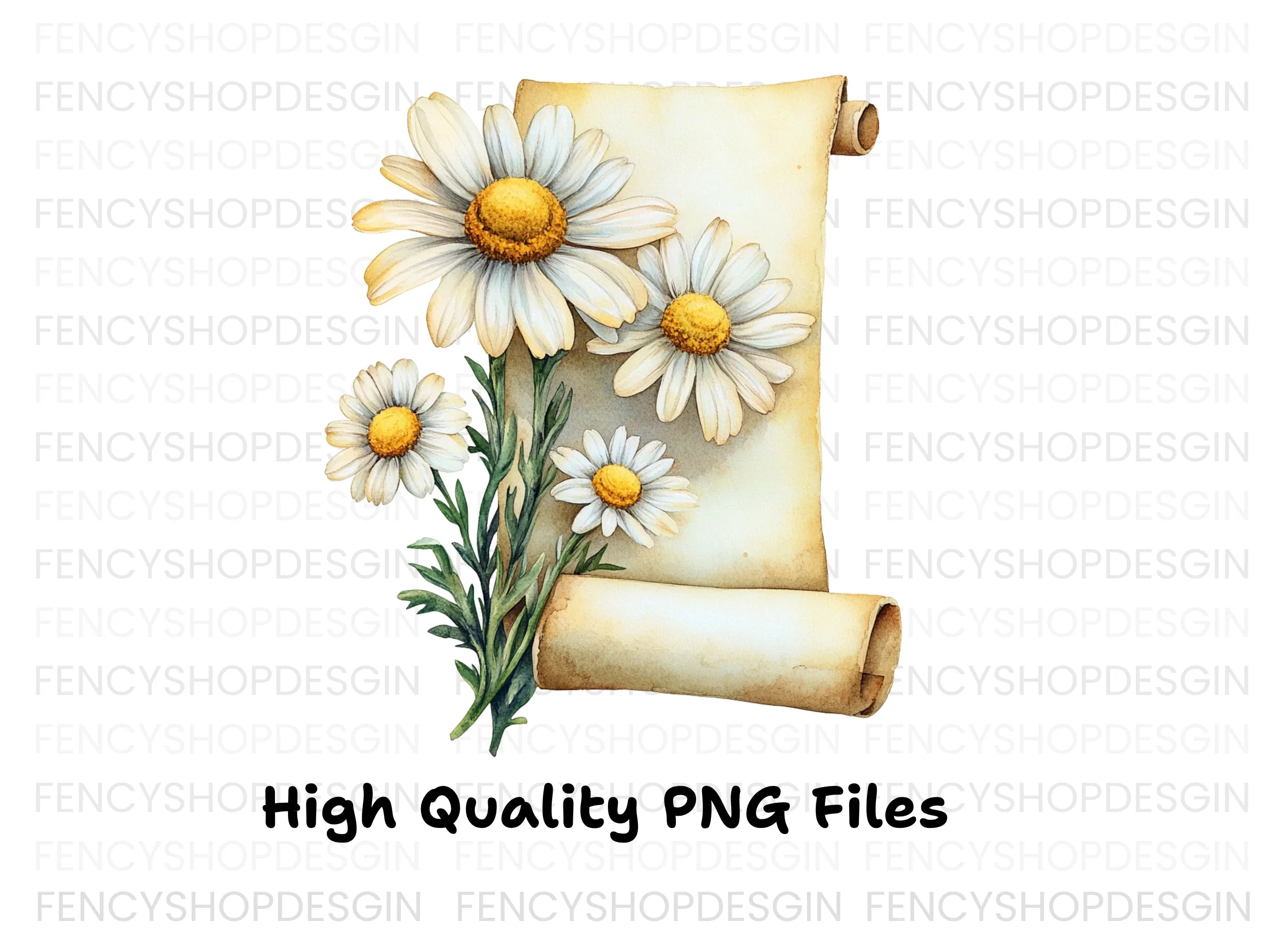 Daisy Scroll Clipart Bundle