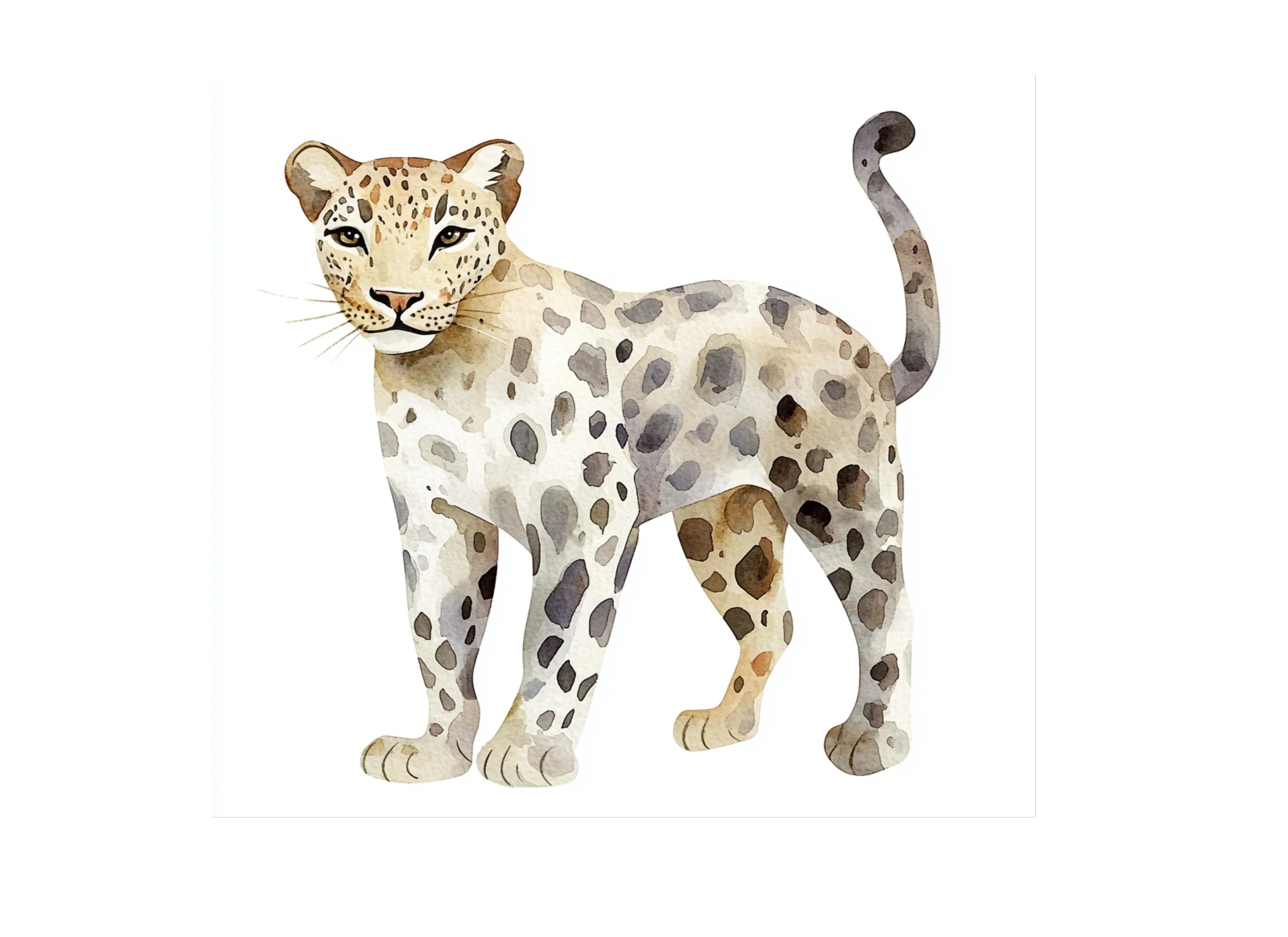 Leopard and Cheetah Clipart Bundle