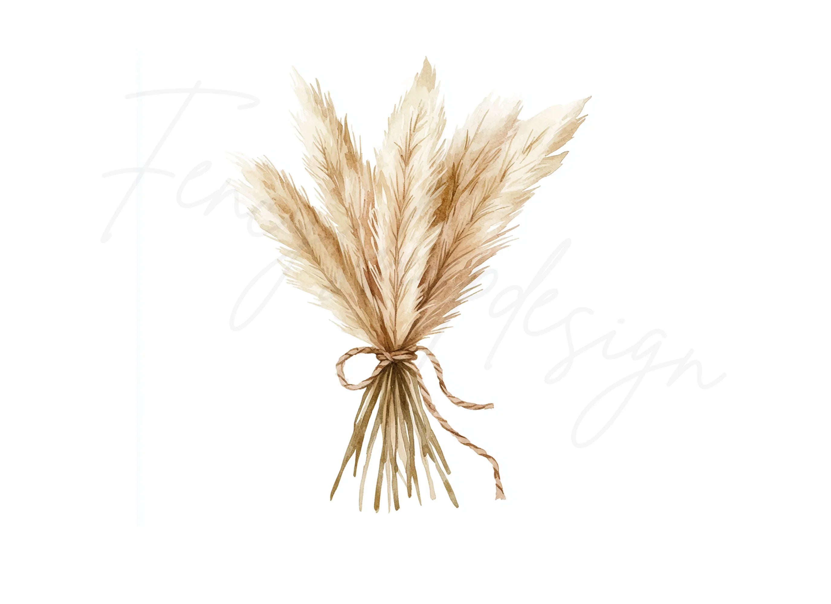 Pampas Grass Bouquets Clipart Bundle