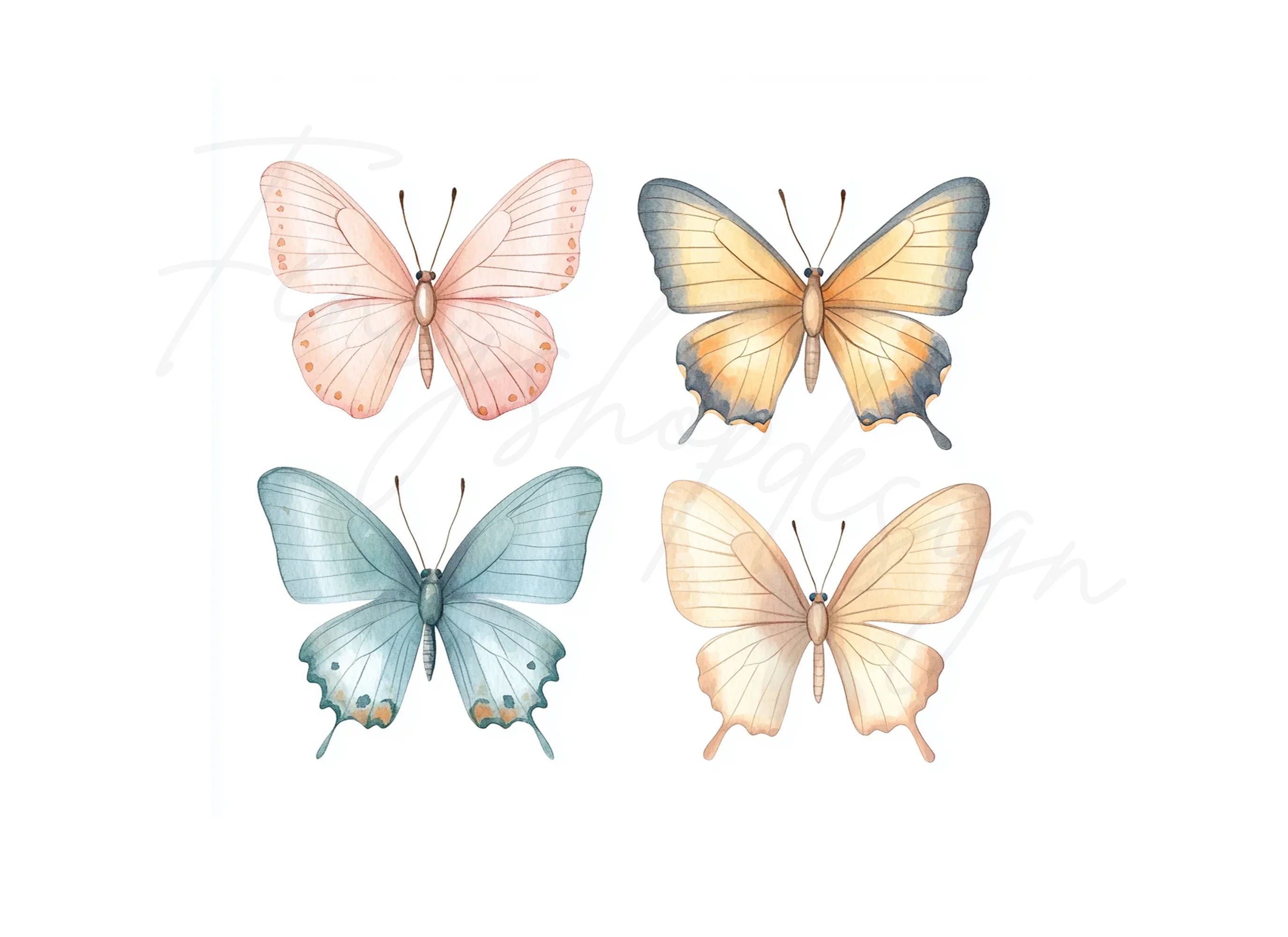 Butterfly Clipart Bundle