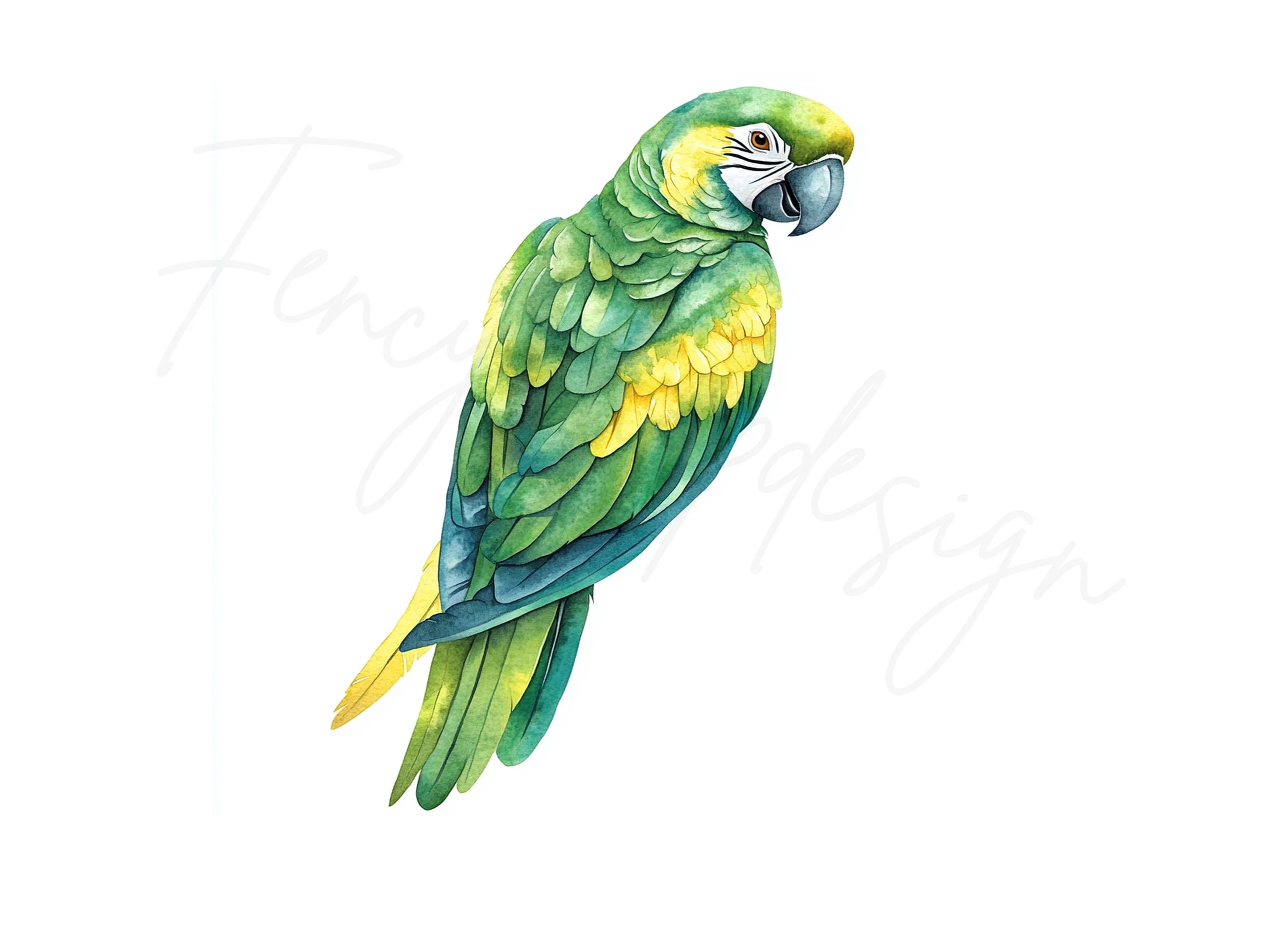 Vibrant Parrot Clipart Bundle