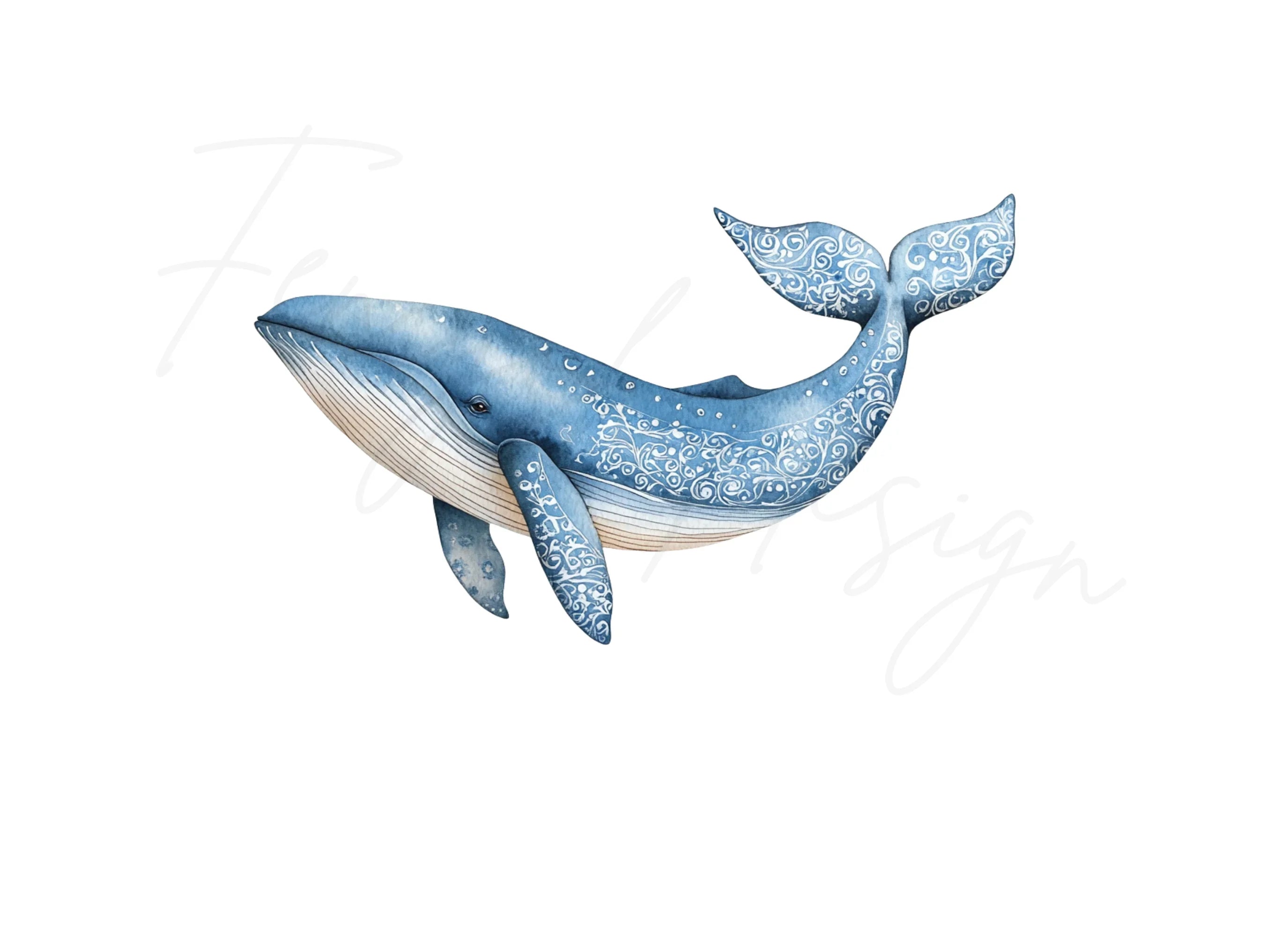 Whale Clipart Bundle