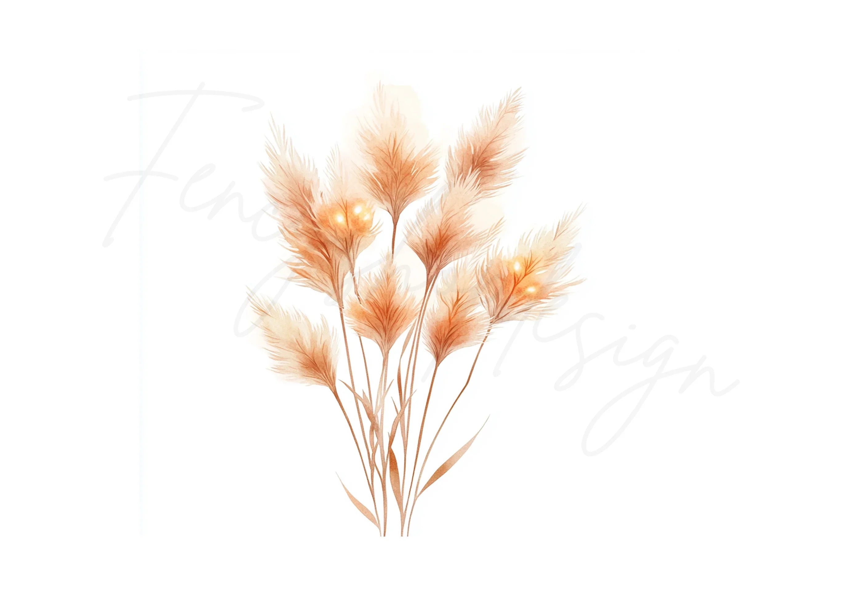 Pampas Grass Clipart Bundle