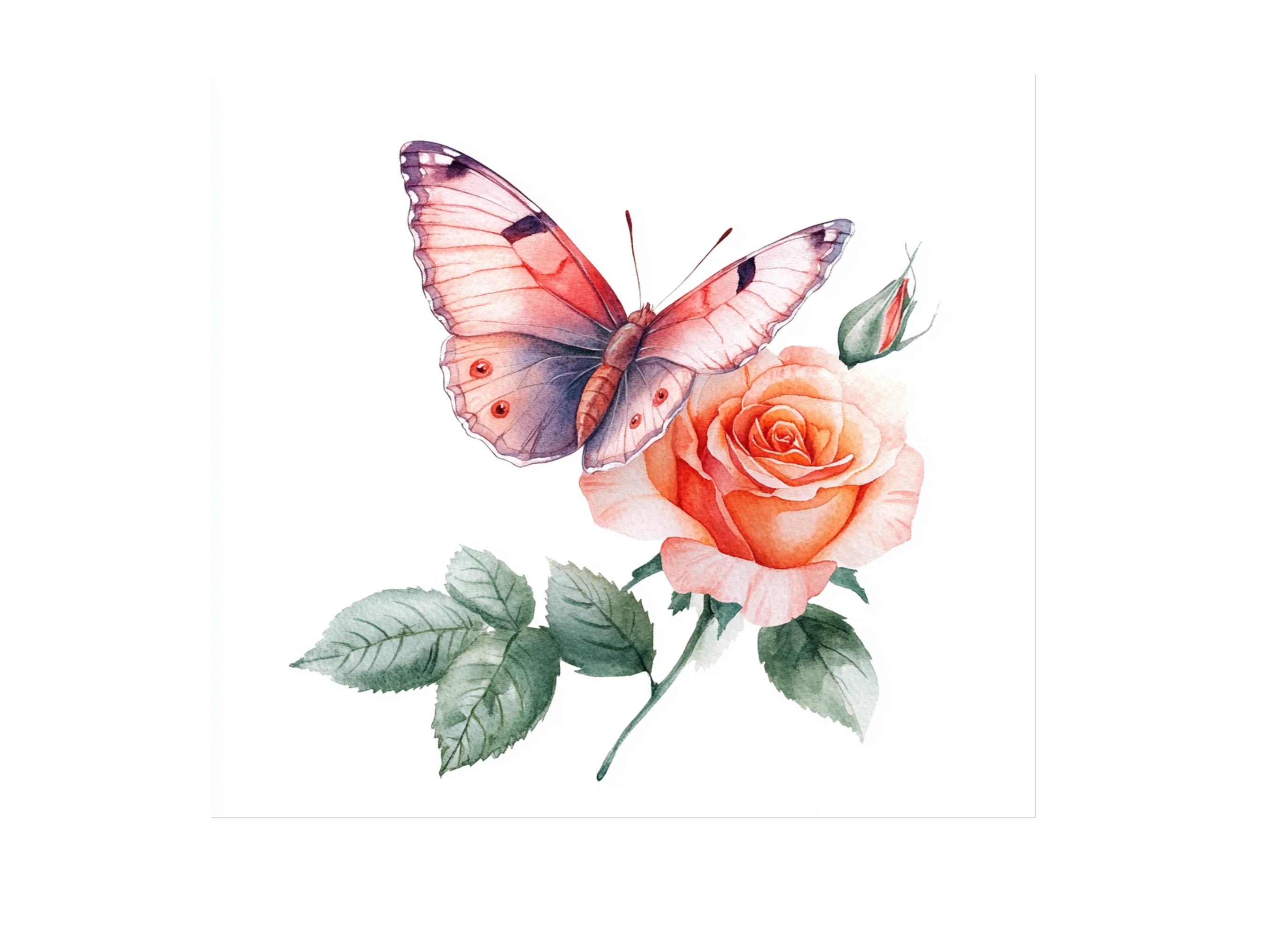 Butterfly Rose Clipart Bundle