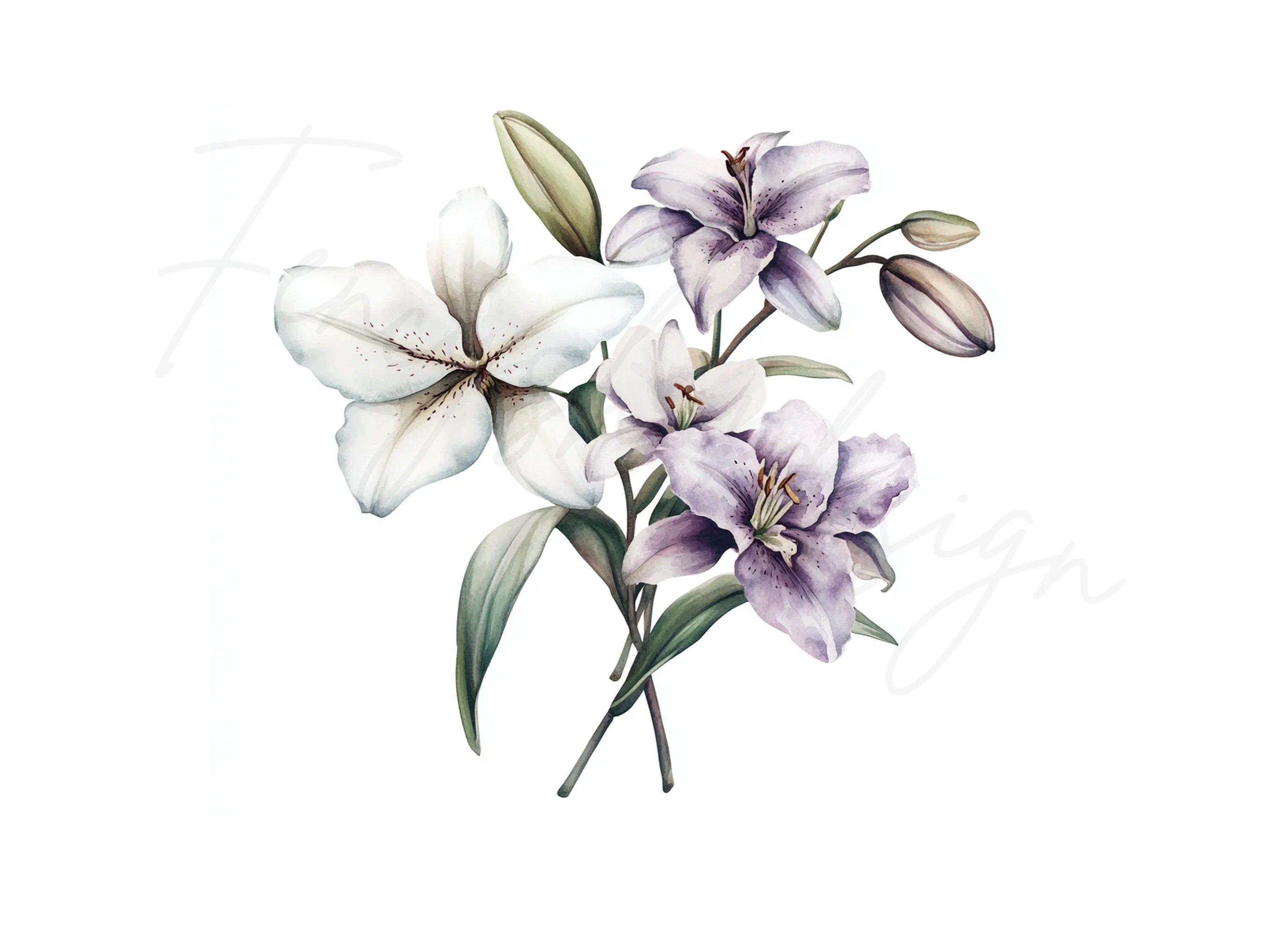 Elegant Lilies and Orchids Clipart Bundle