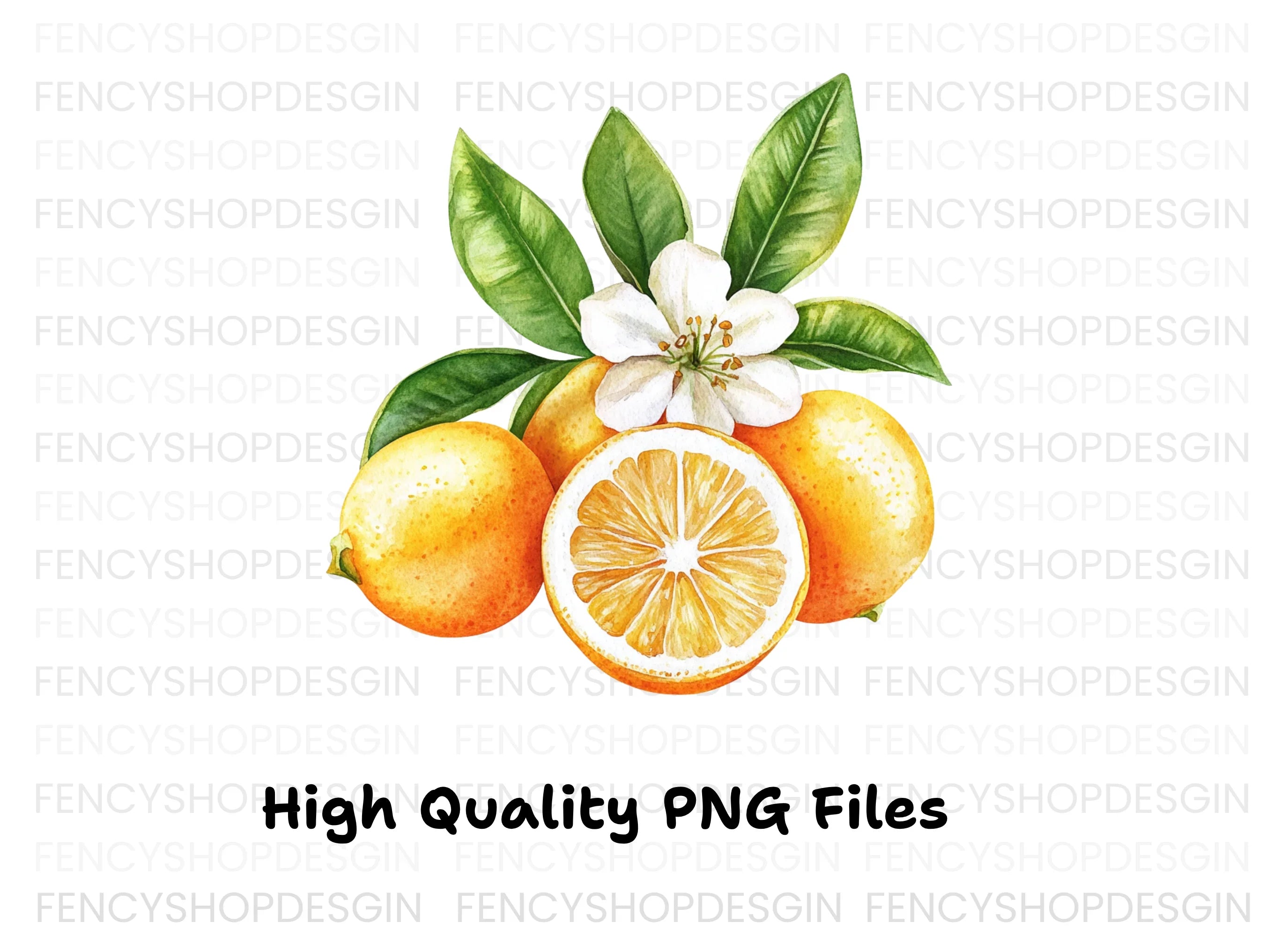 Citrus Fruit Clipart Bundle