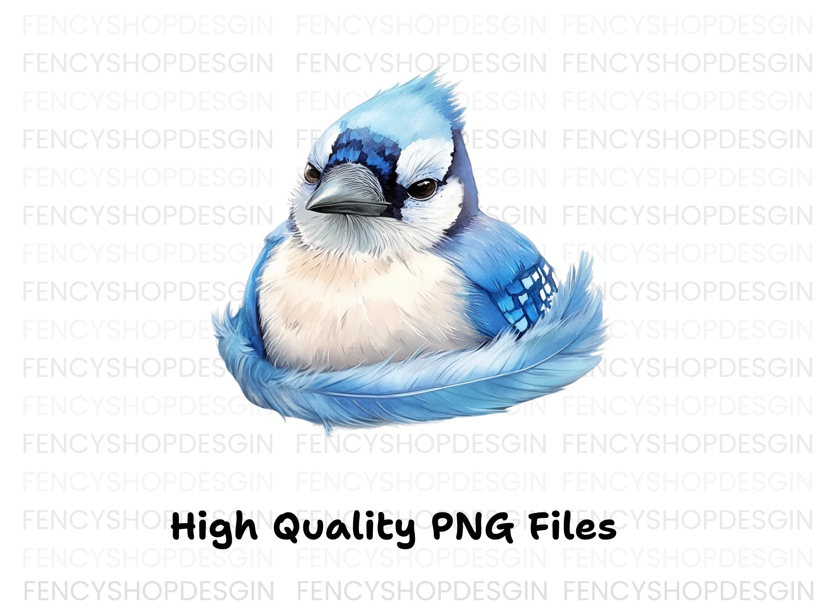 Cute Blue Jay Bird Clipart Bundle