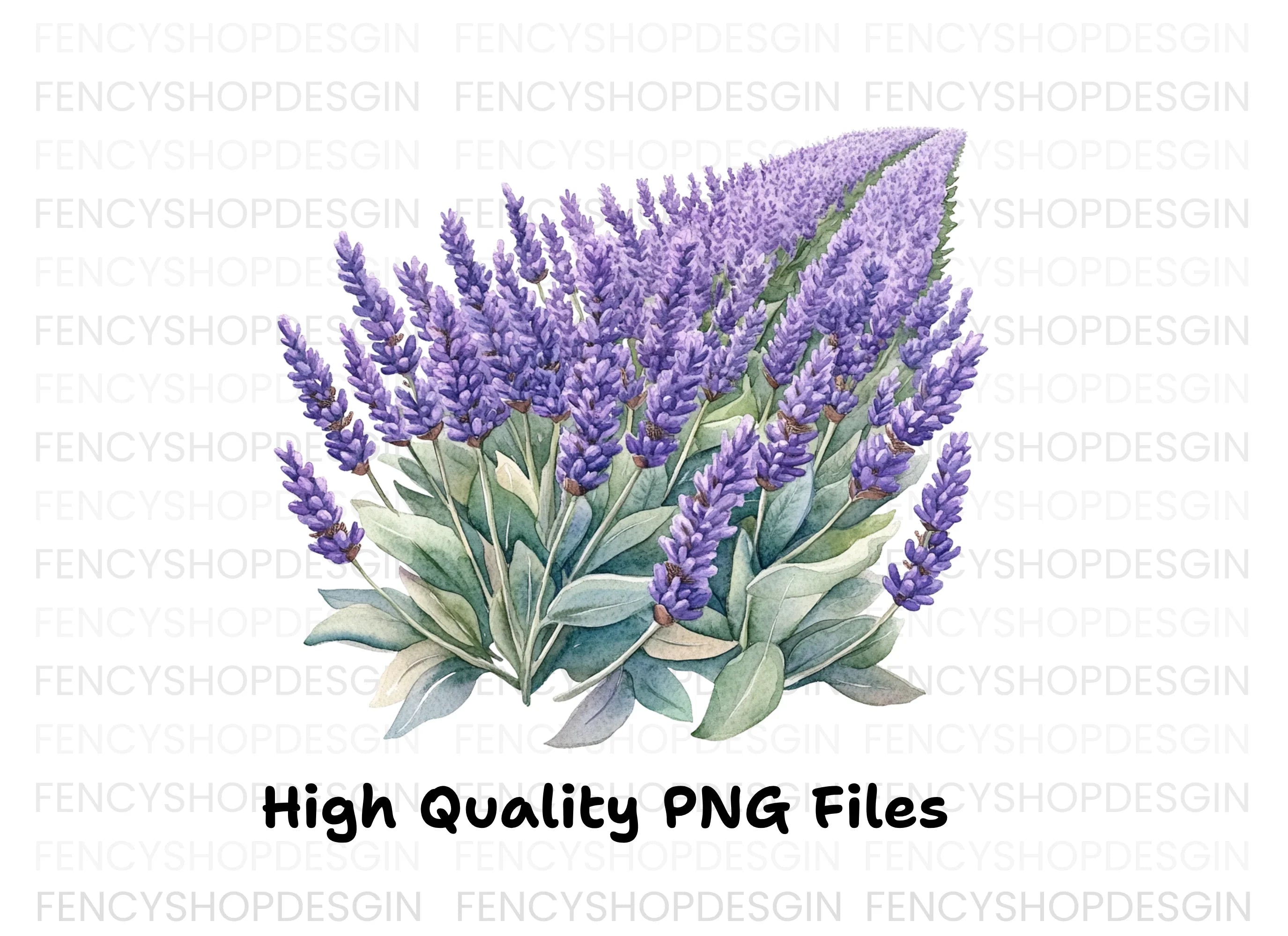 Beautiful Lavender Clipart Bundle