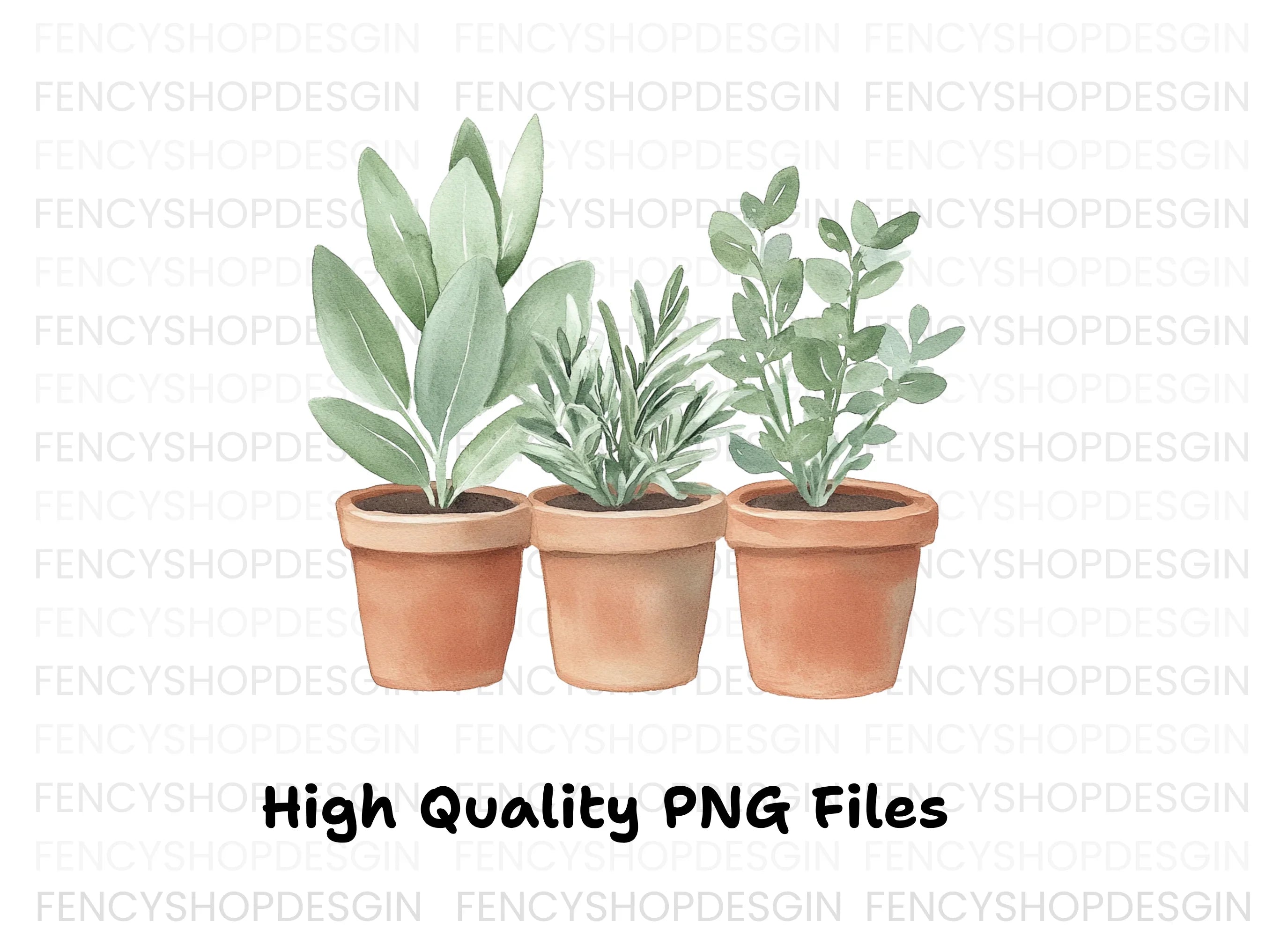 Herb Plants in Terracotta Pots Clipart Bundle
