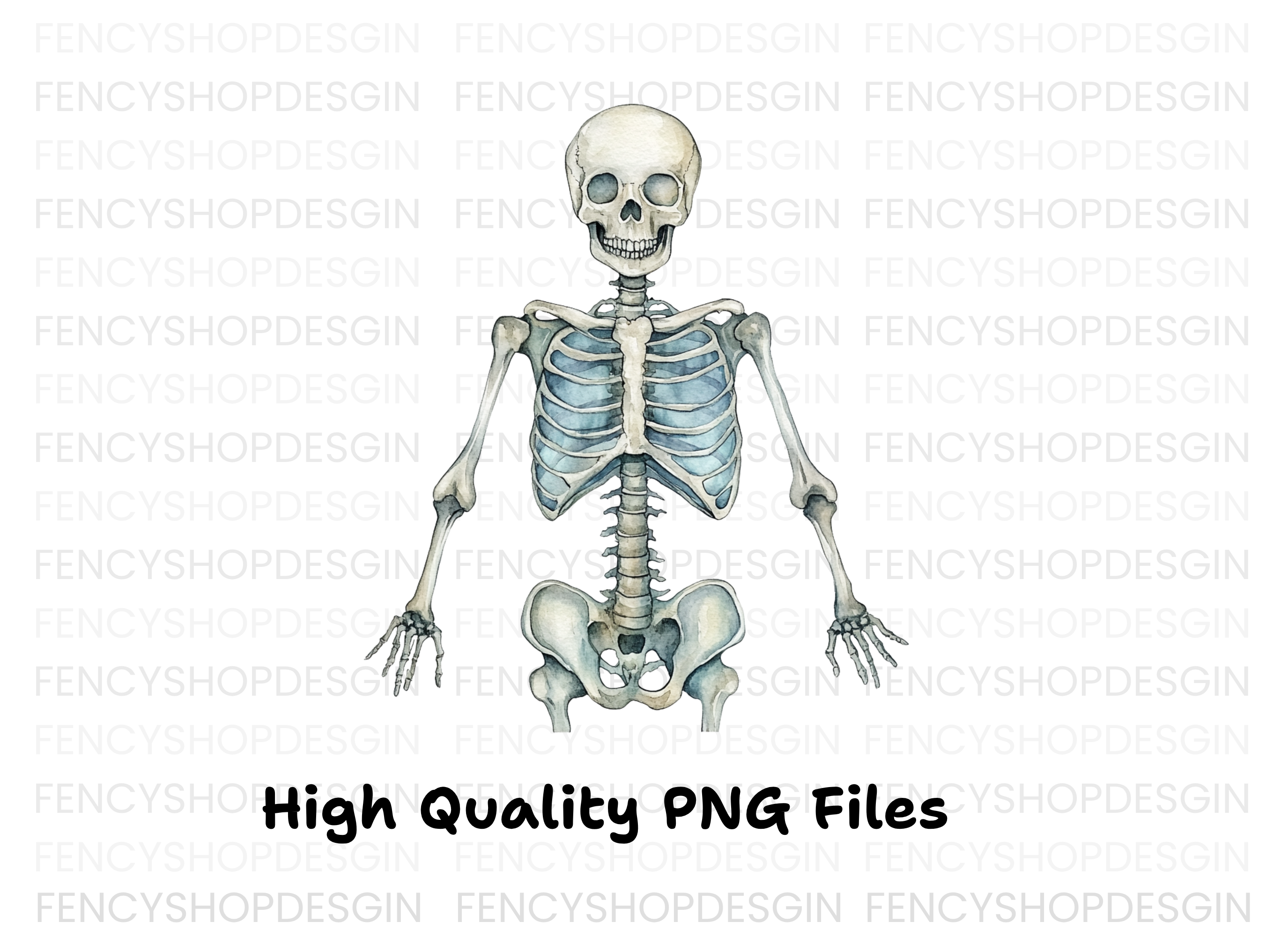 Anatomical Skeleton Graphics Clipart Bundle