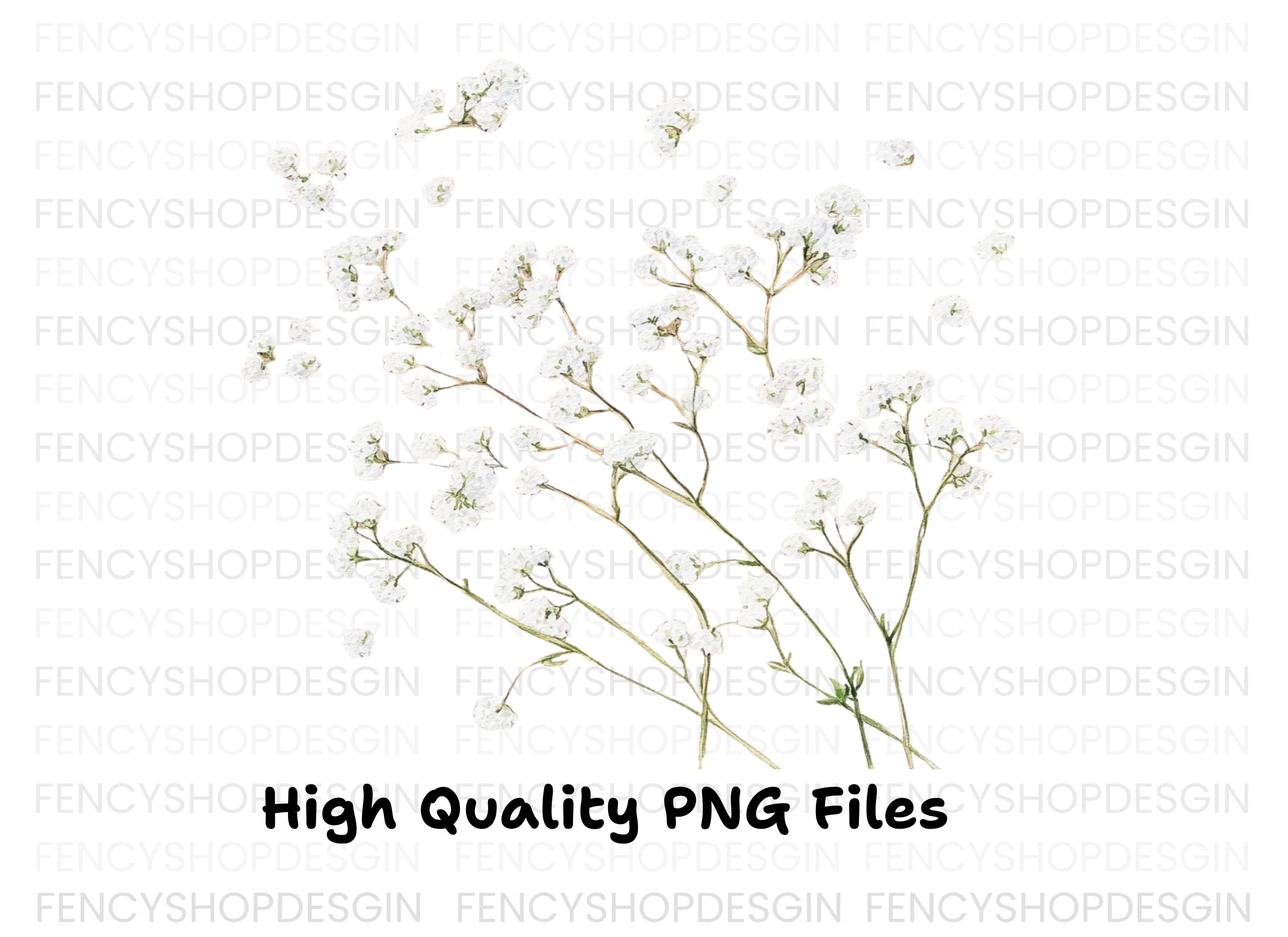 Delicate Baby Breath Clipart Bundle