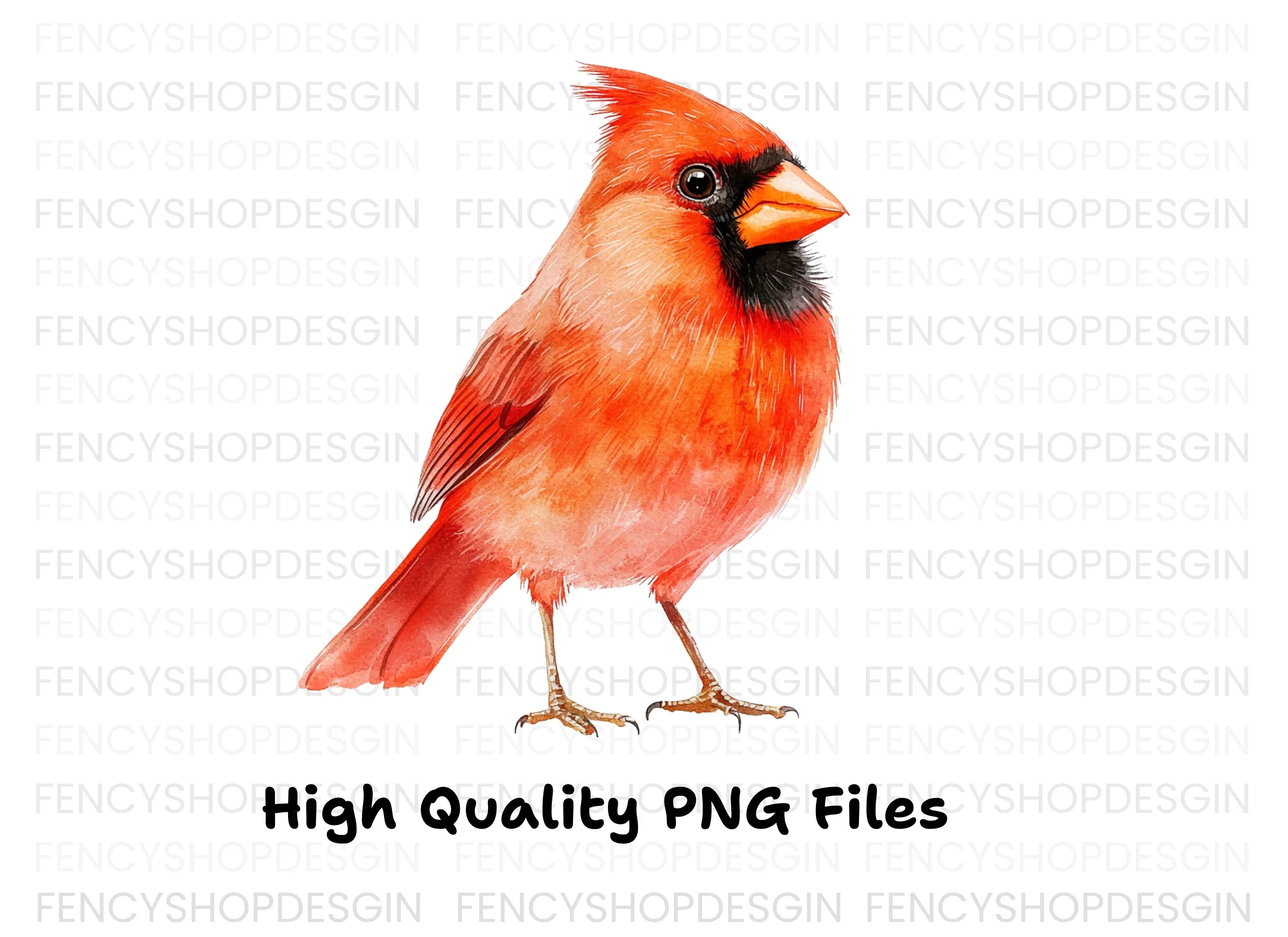 Beautiful Cardinal Bird Clipart Bundle