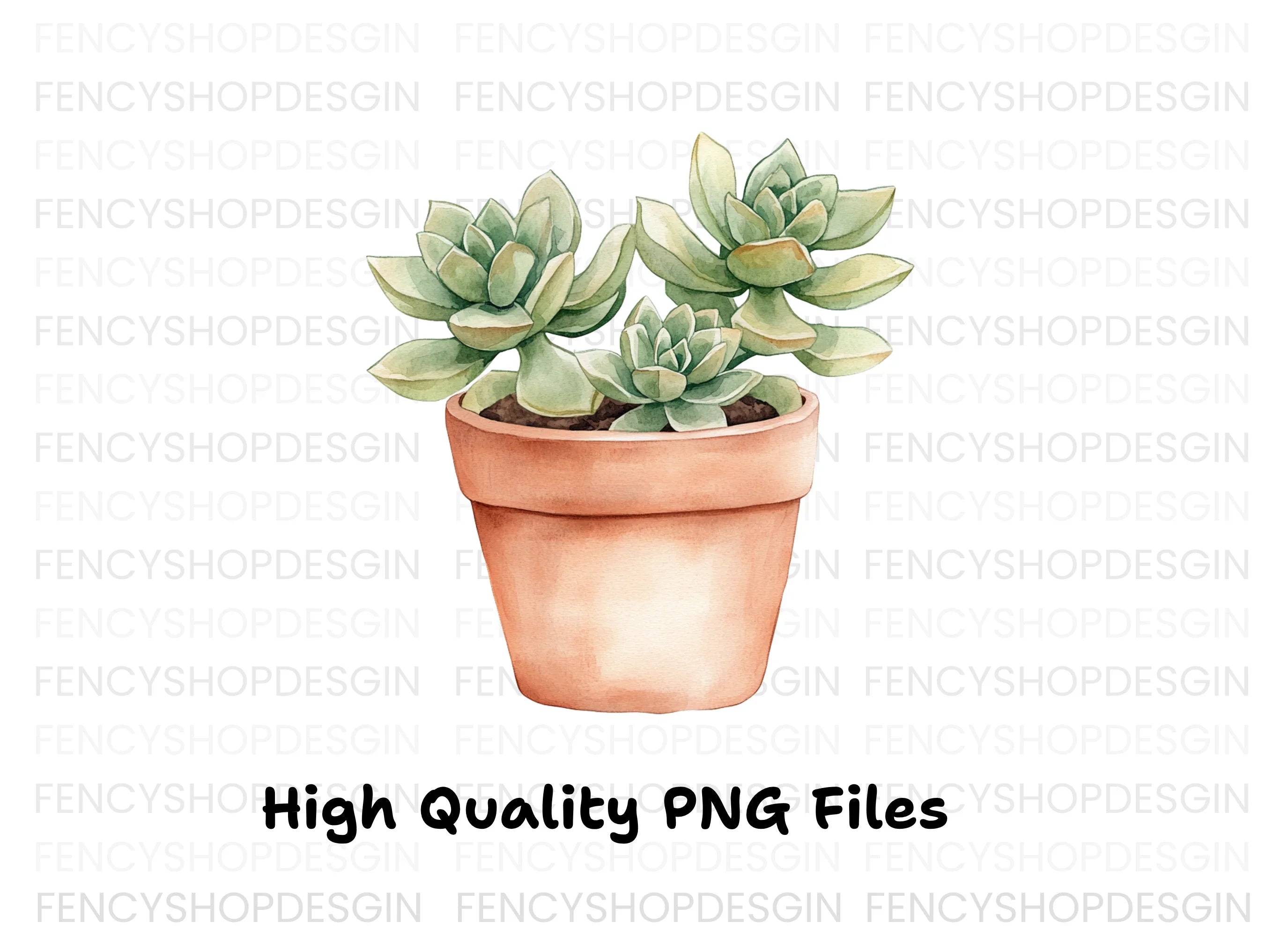 Succulent Plants Clipart Bundle