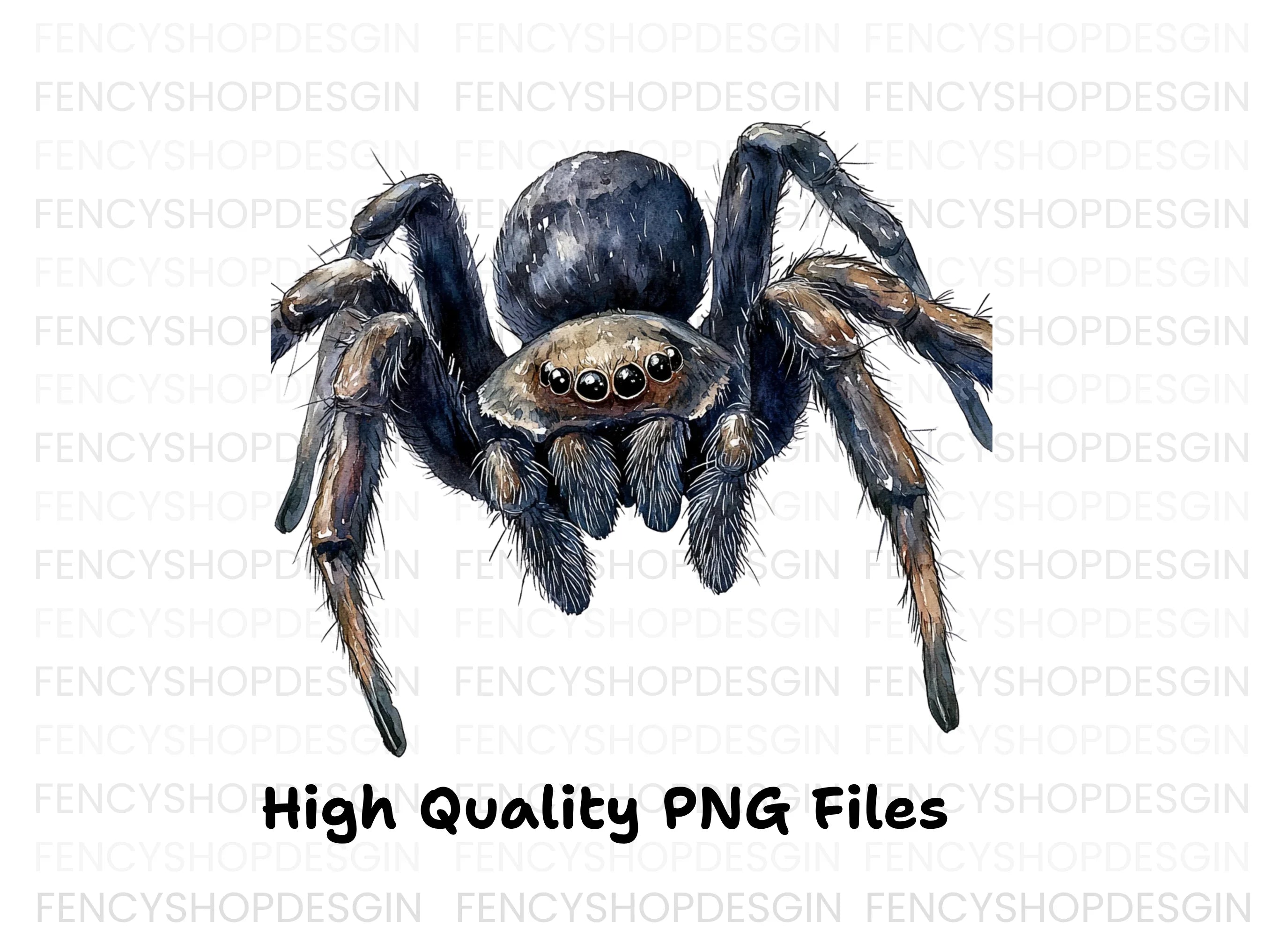 Realistic Spider Clipart Bundle