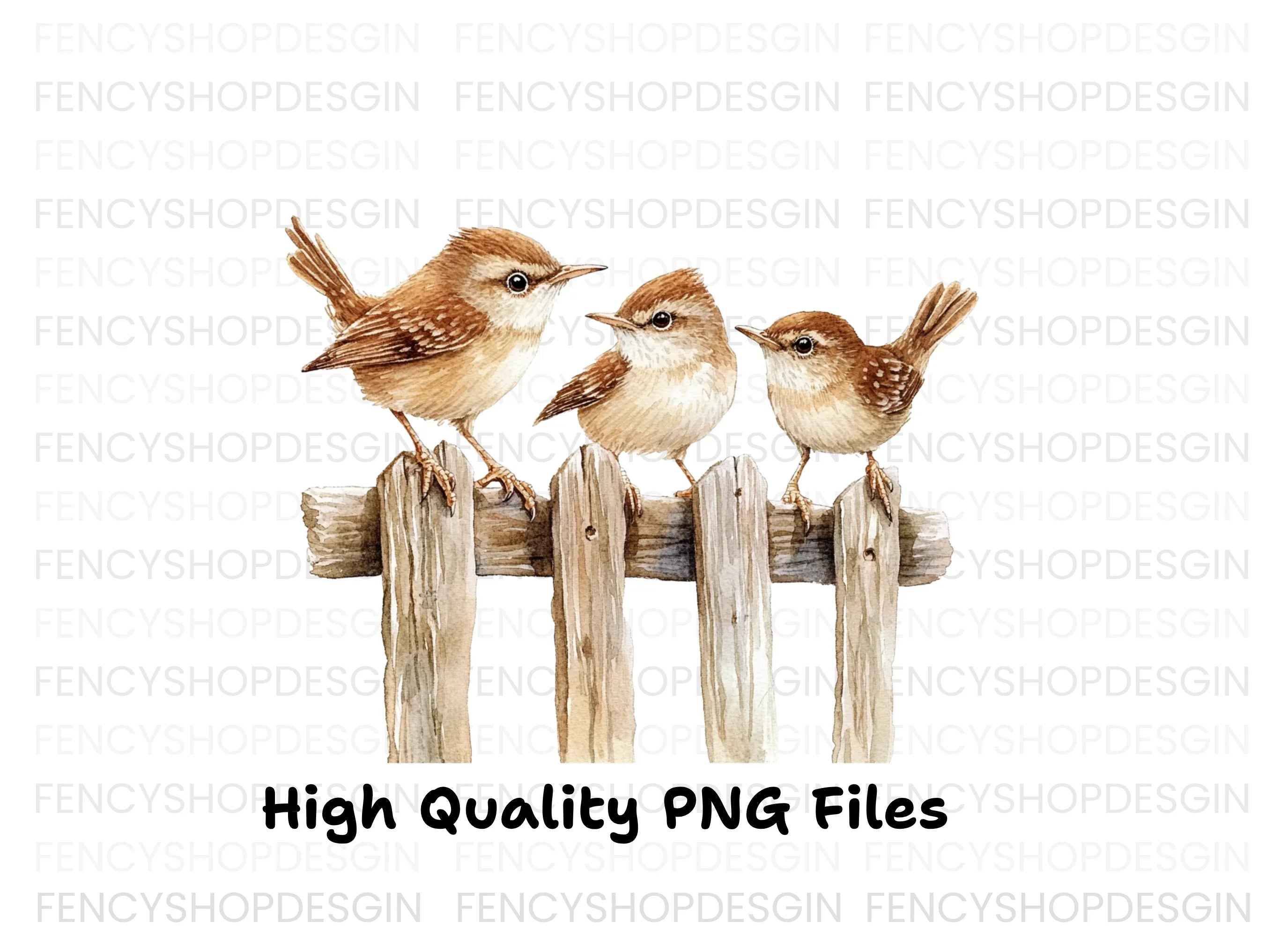 Wren Family on Wooden Fence Clipart Bundle