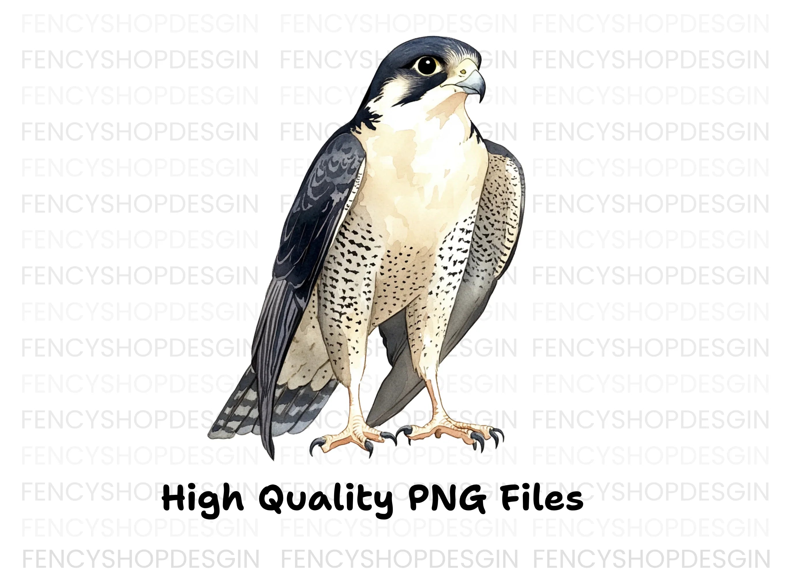Majestic Peregrine Falcon Clipart Bundle