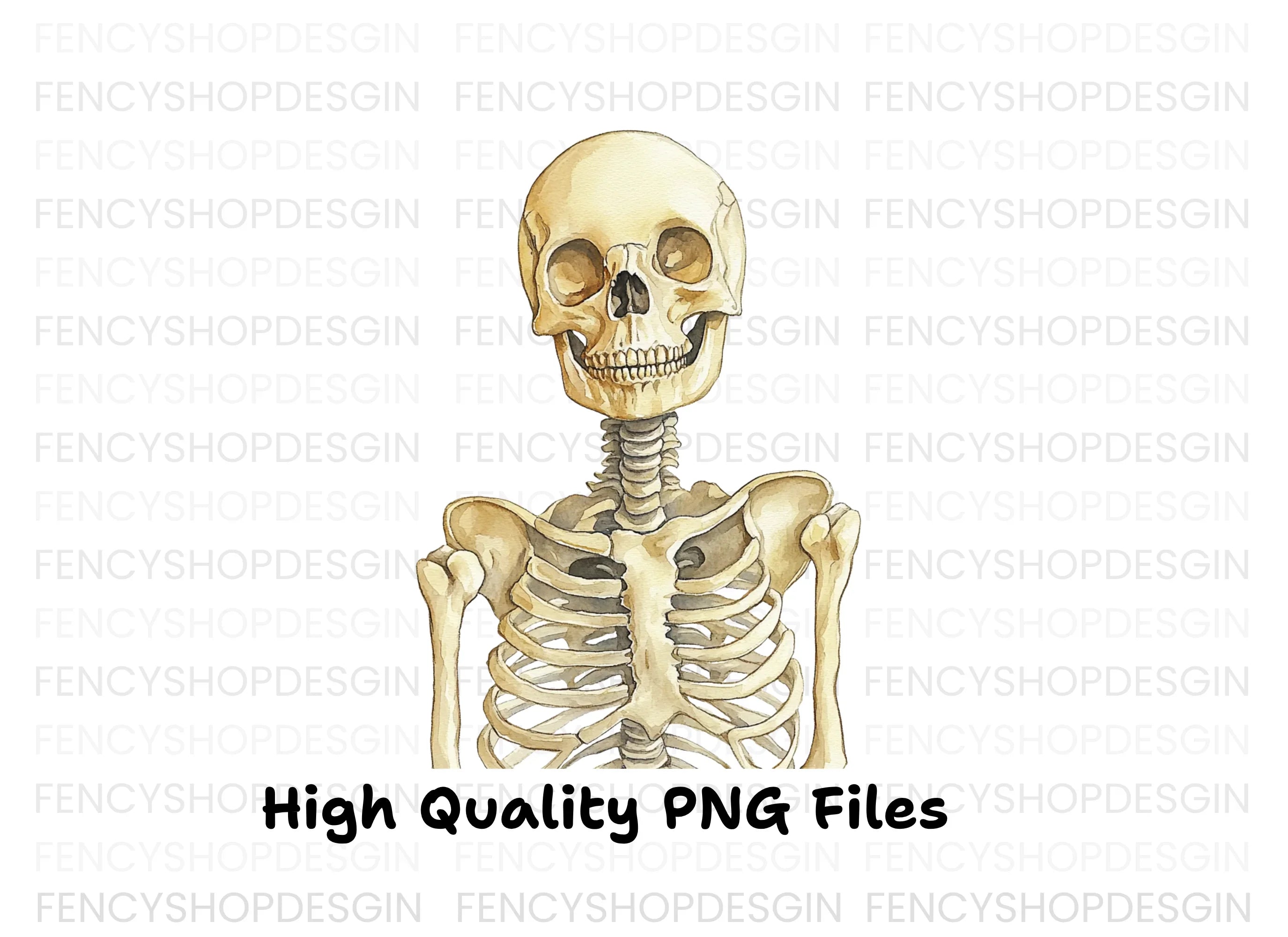 Human Skeleton Clipart Bundle