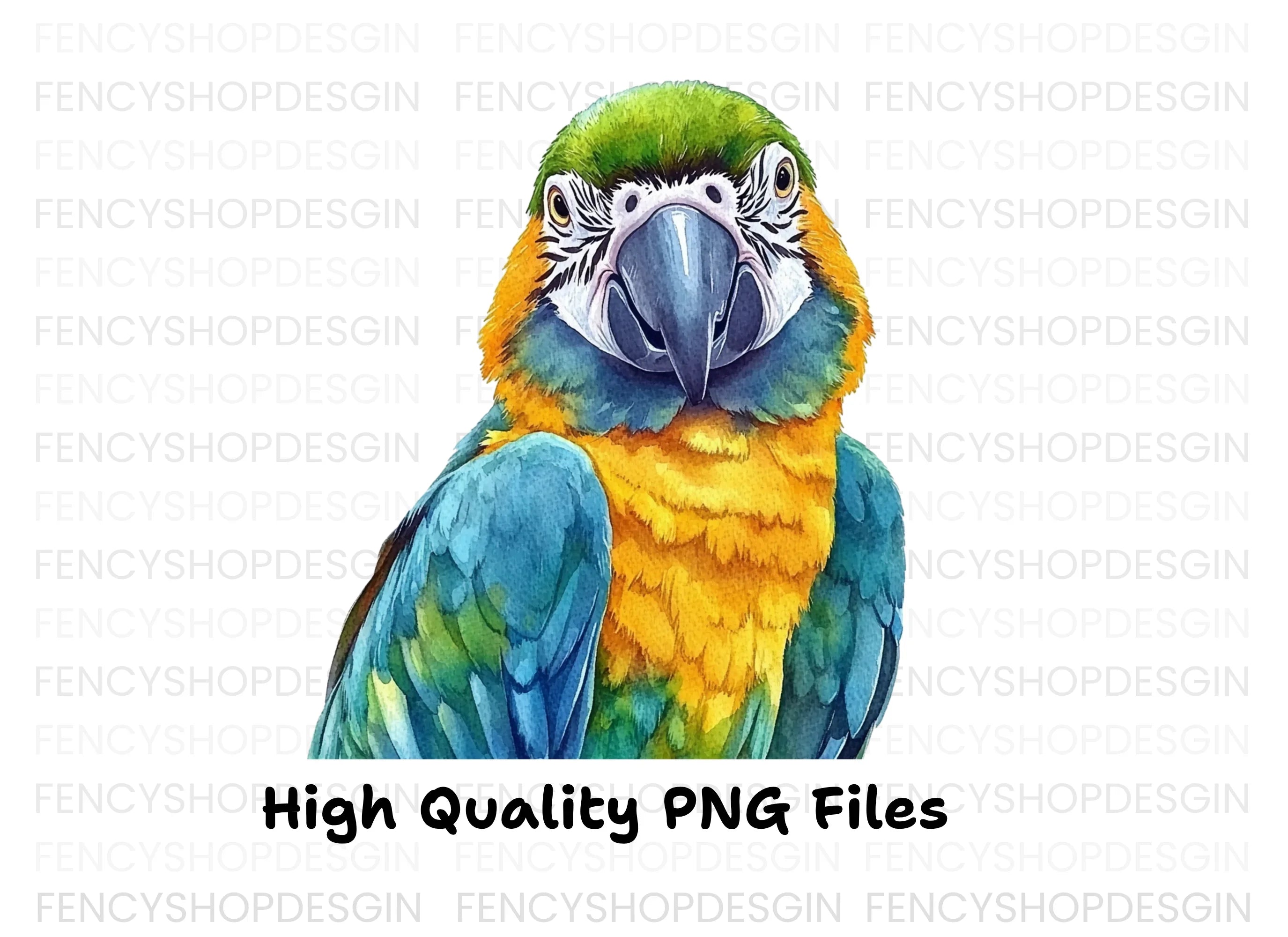 Vibrant Macaw Parrot Clipart Bundle